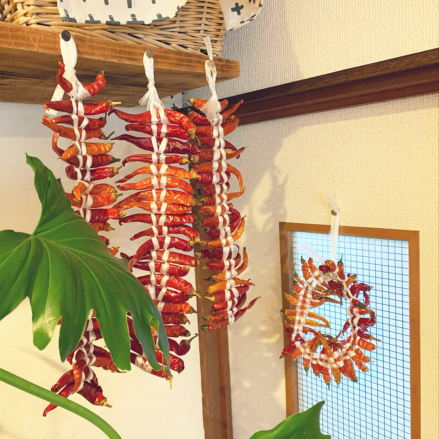 59df411ca6ddd7a4383143e4030f29