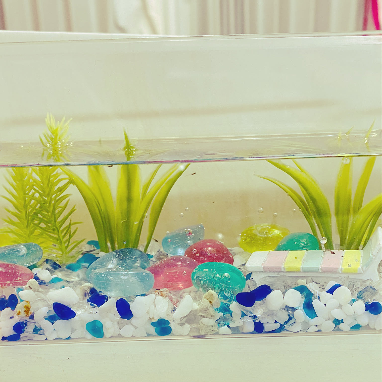 決まりました）メダカ19800円【メダカ、ラック、水槽、柵】（補足