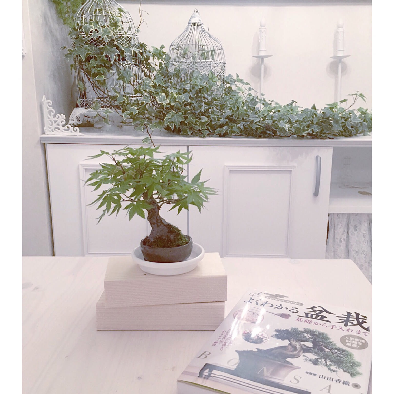 5a4e05bbab0d6840272744381b02ae