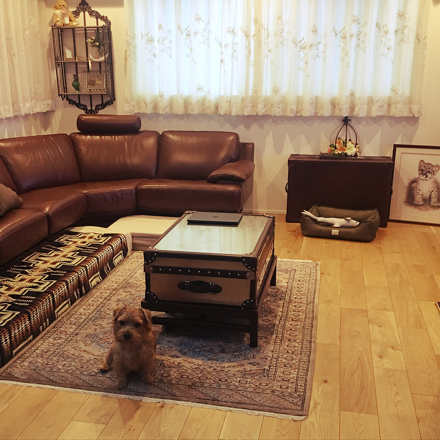 HALO トランクテーブルのおすすめ商品とおしゃれな実例 ｜ RoomClip