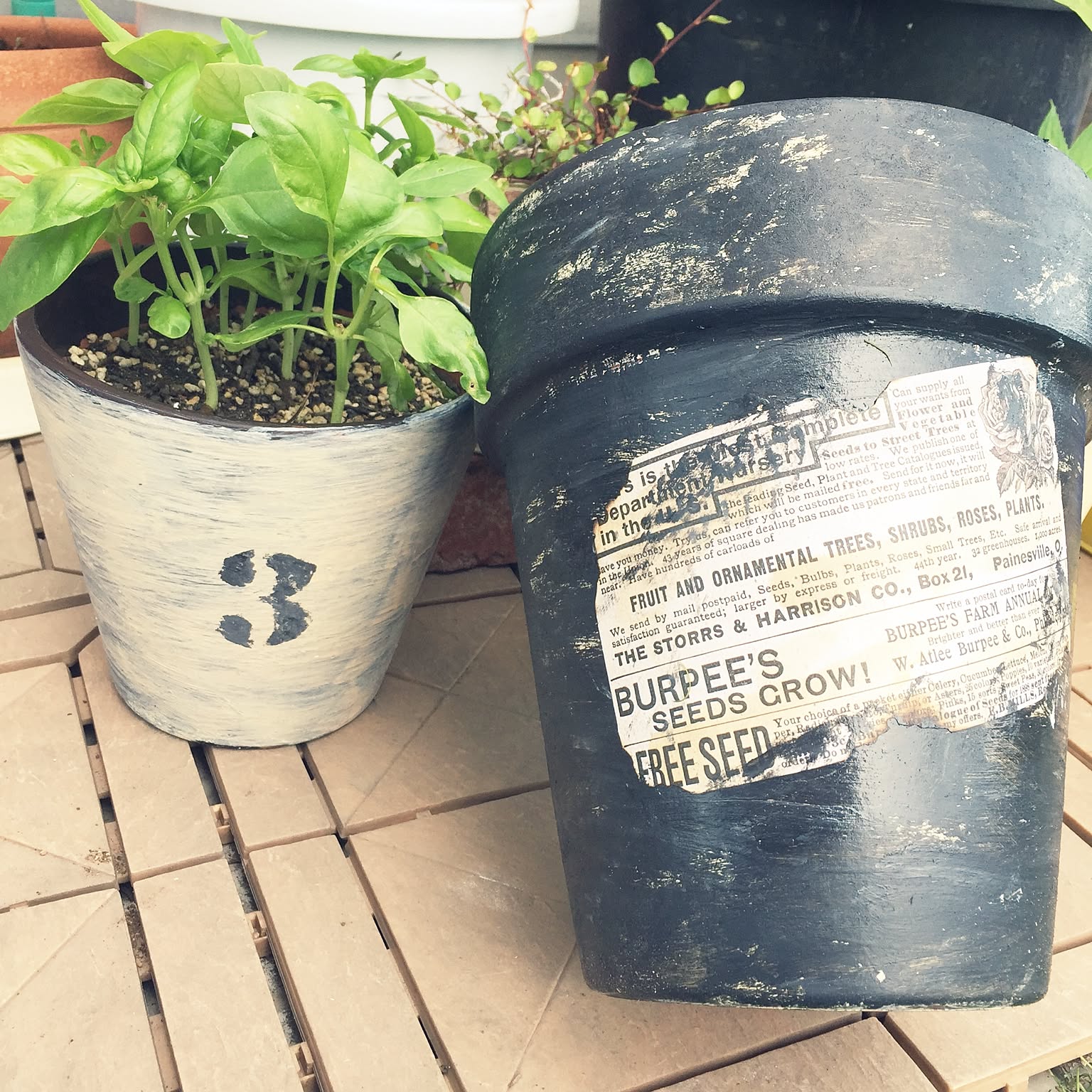 古い鉢 楽天市場】横ライン 丸リム型 アンティーク 素焼き鉢 テラコッタ鉢