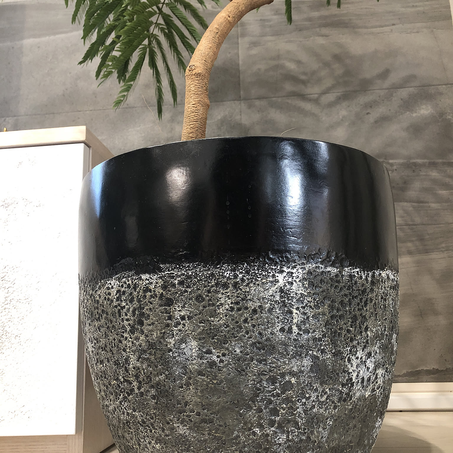 黒い植木鉢のおすすめ商品とおしゃれな実例 ｜ RoomClip（ルームクリップ）