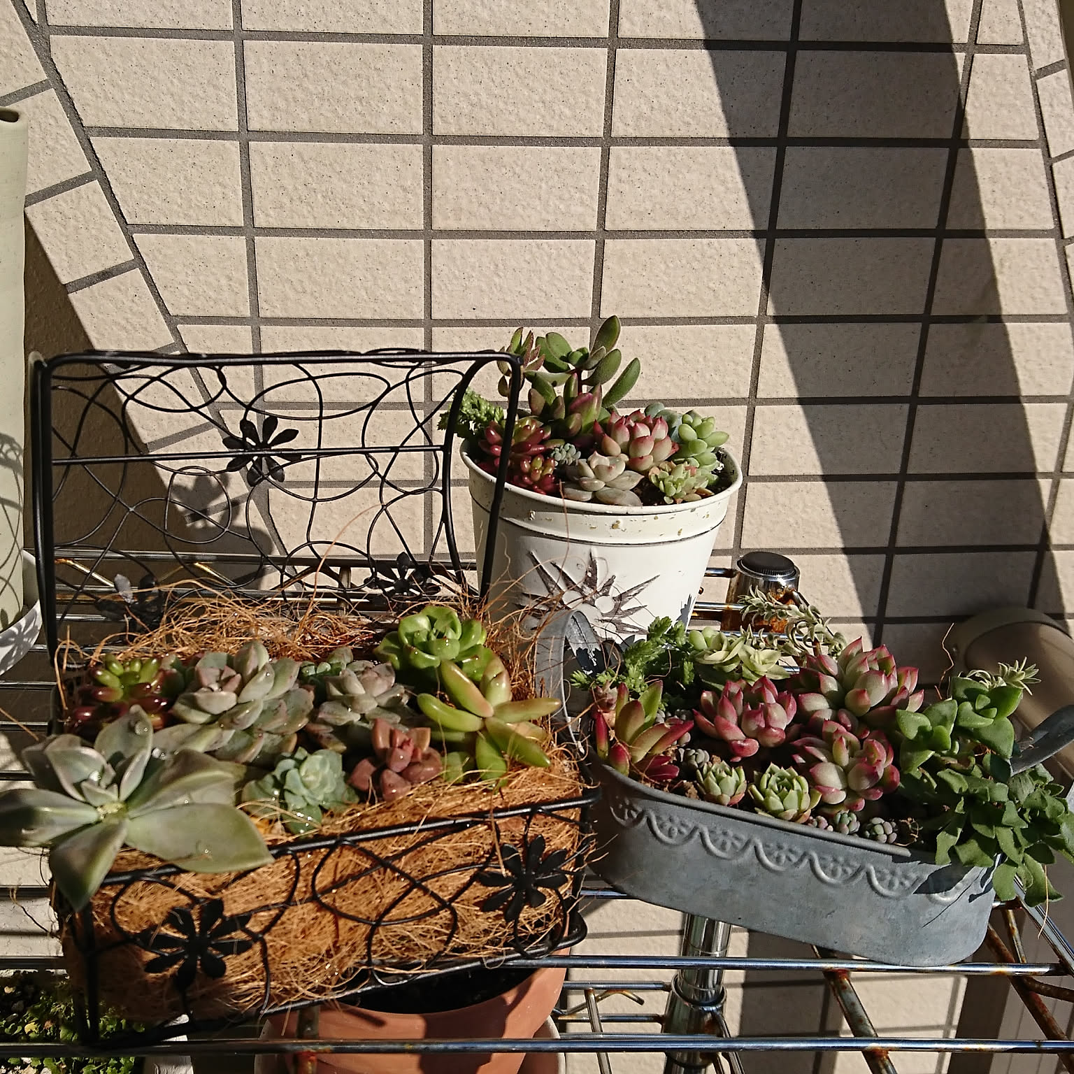 寄せ植え アイアンバスケットのおすすめ商品とおしゃれな実例