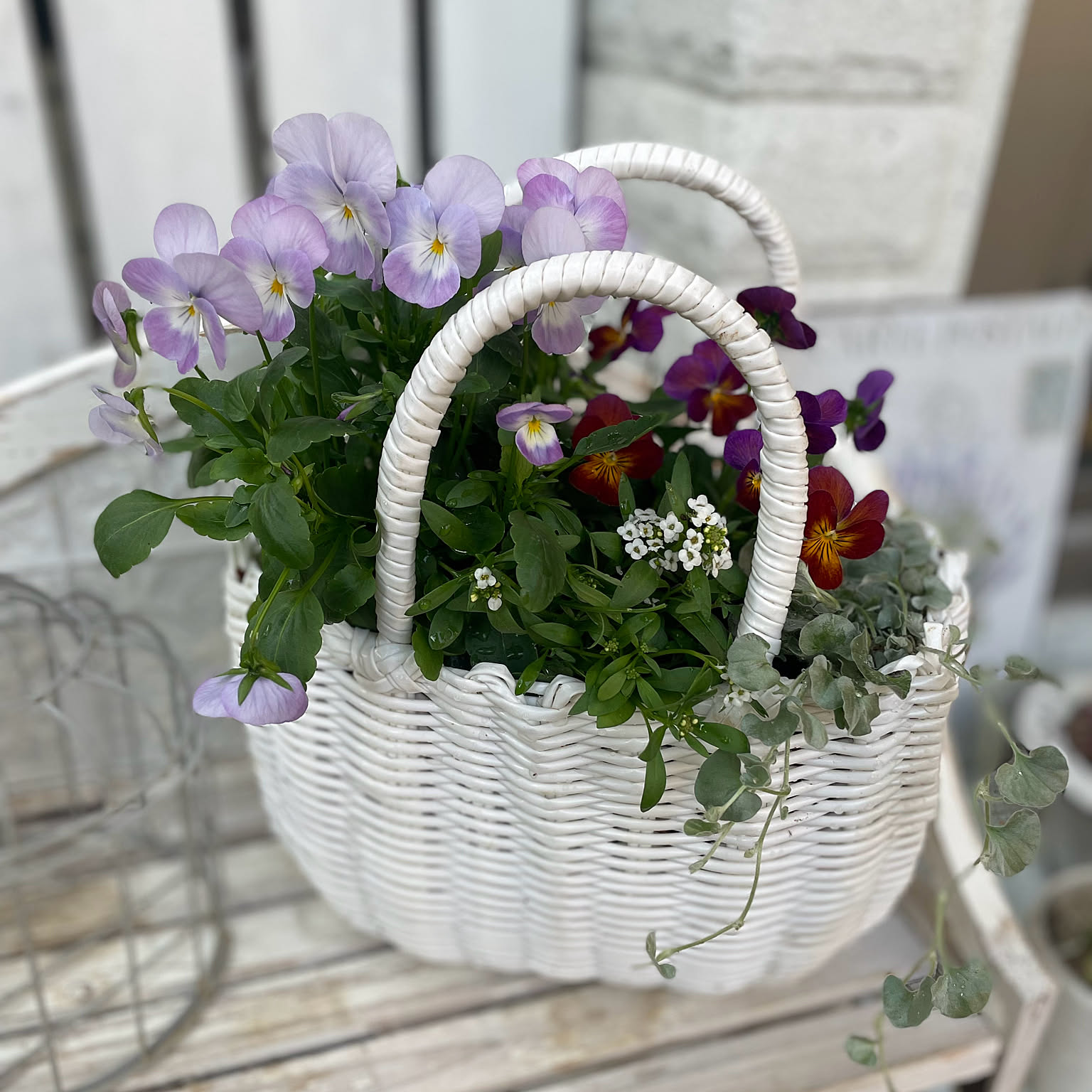 カゴの寄せ植えのインテリア実例 ｜ RoomClip（ルームクリップ）