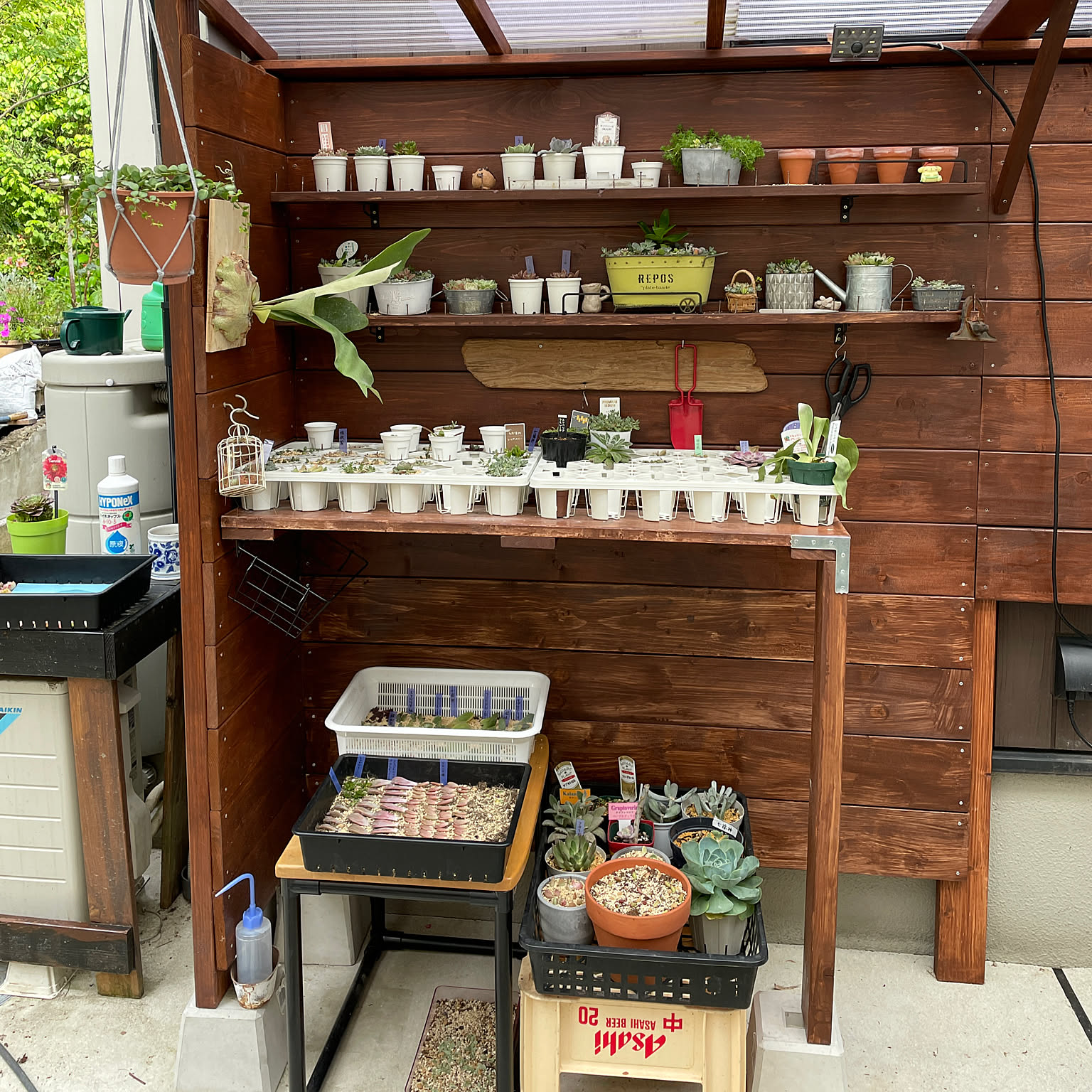 ちゃーこ様　多肉植物棚　TD-CT80 Amazon.co.jp: 4階階段植物棚、花園大型多肉棚、高さ調整可能