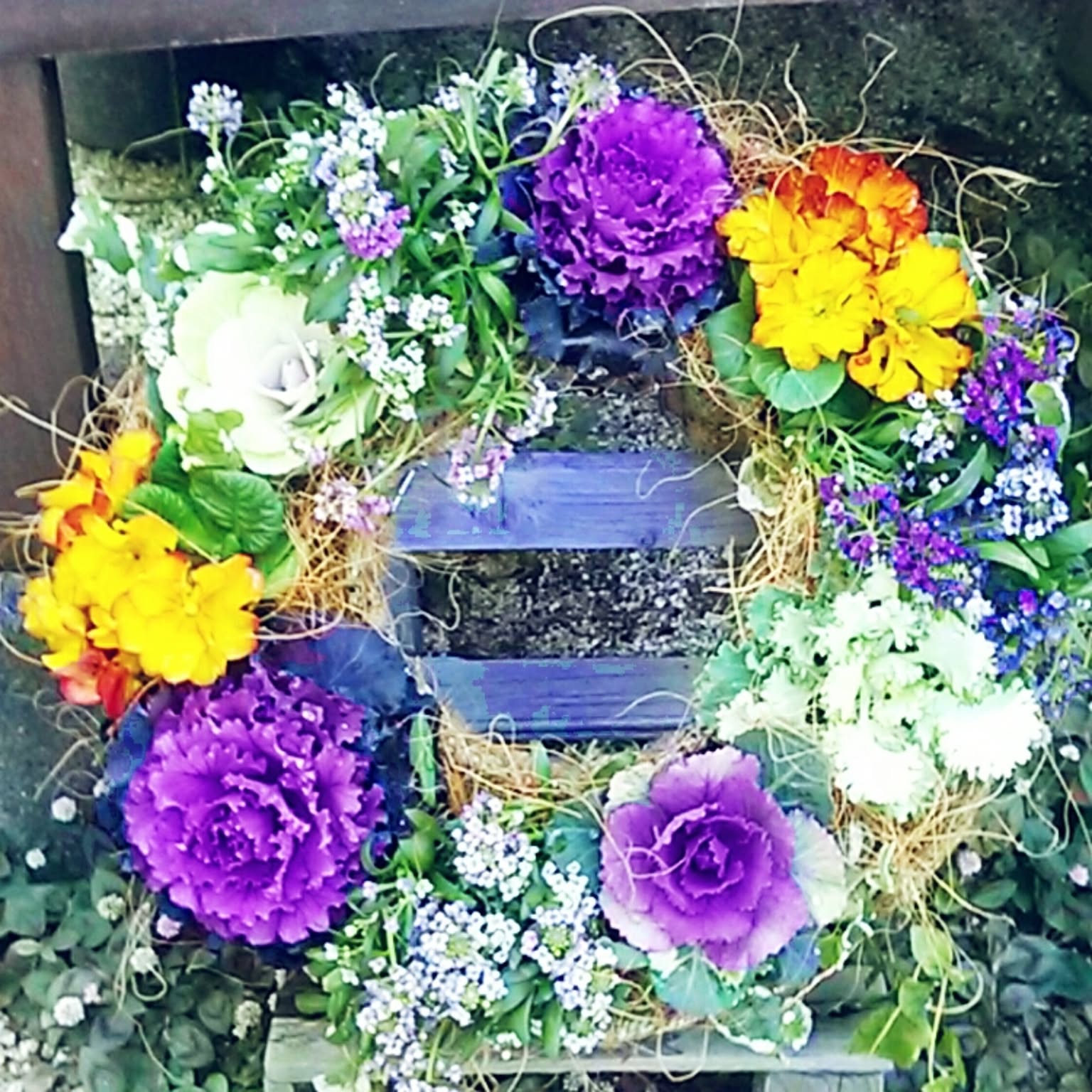 葉牡丹 ギャザリングリースのおすすめ商品とおしゃれな実例