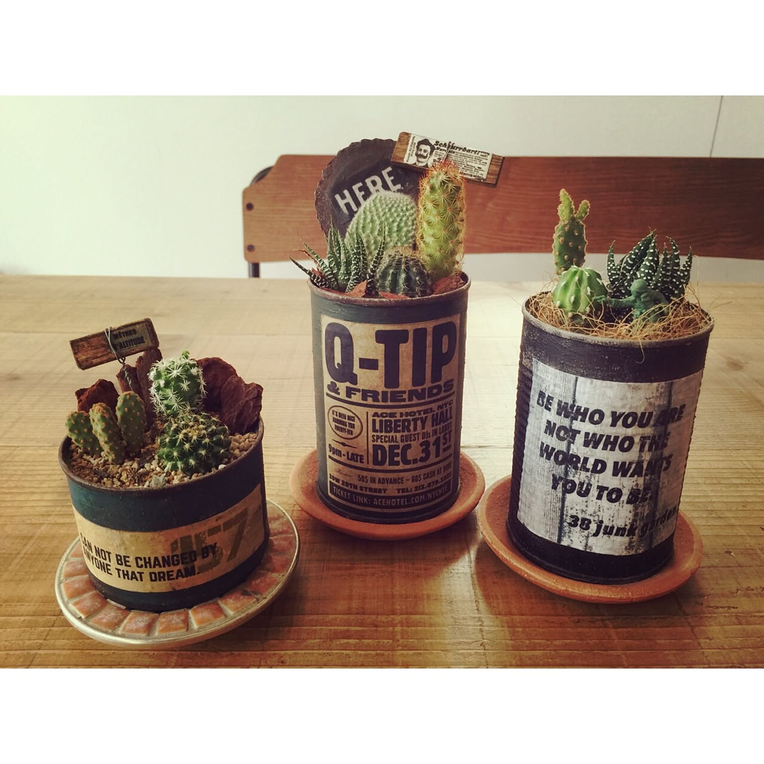 リメイク缶 リメイク鉢 高かろ リメ缶リメ鉢 多肉植物 サボテン