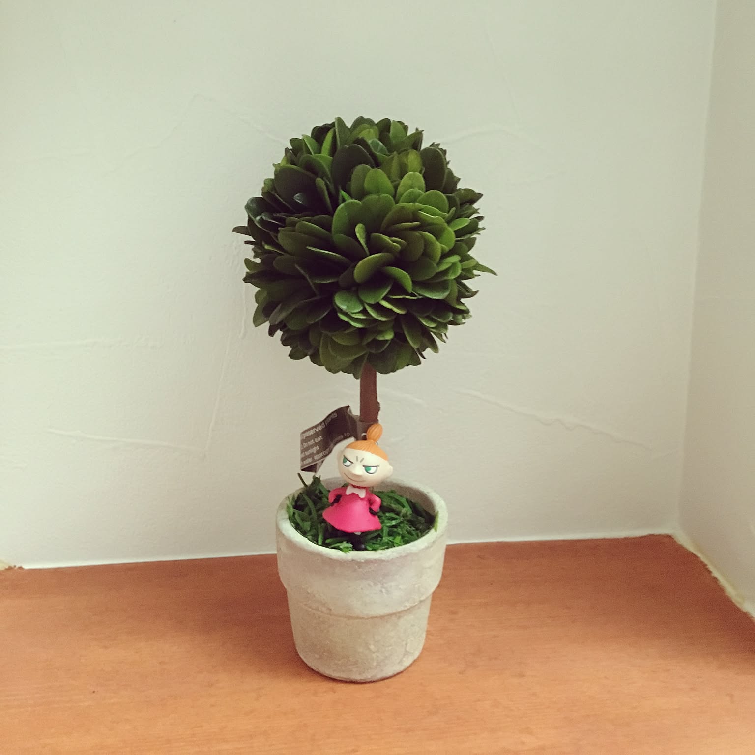 ツゲの木のインテリア実例 ｜ RoomClip（ルームクリップ）