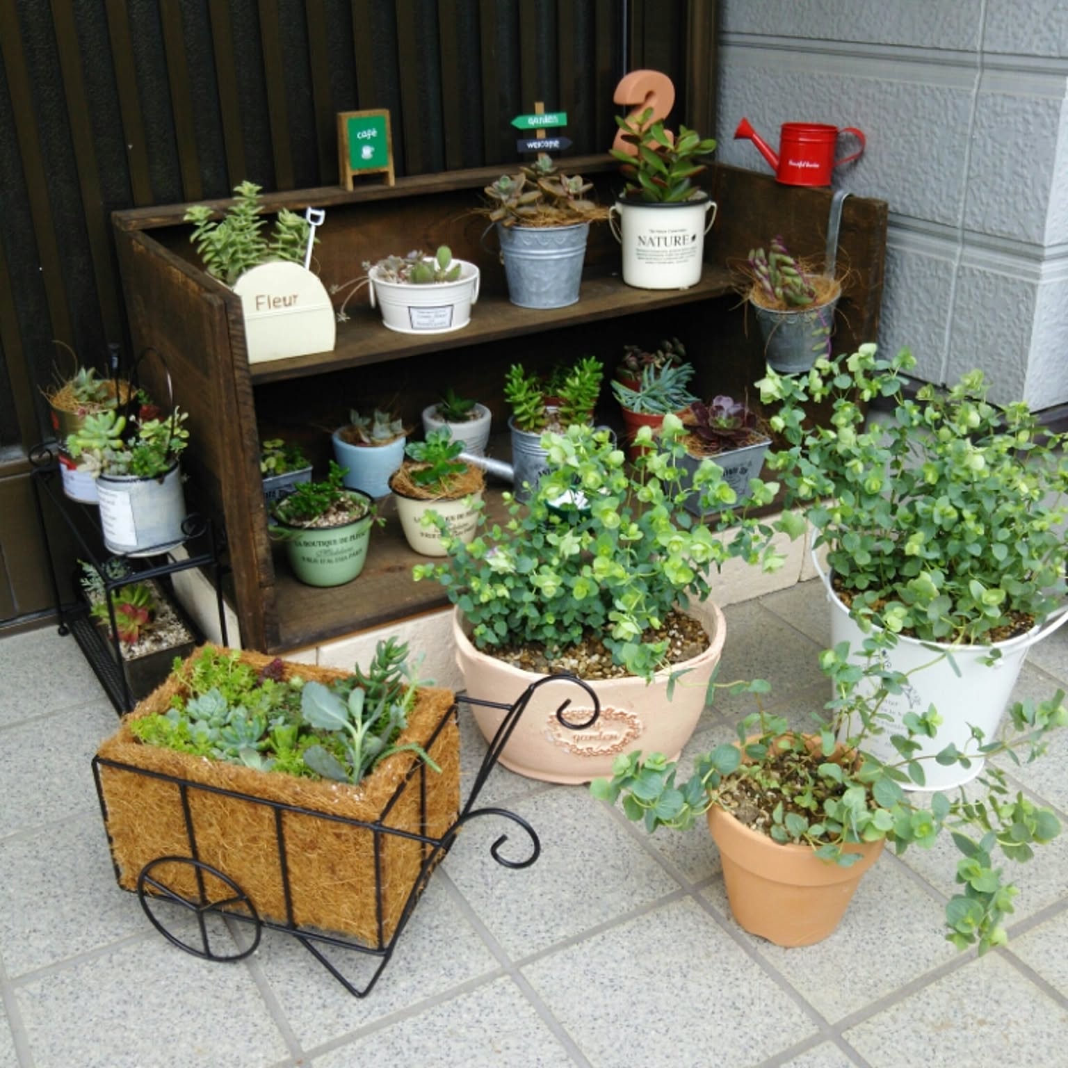 ちょくみ様　多肉植物棚　GAI-W80AW ちょくみ様 多肉植物棚 GAI-W80AW 軒下 多肉棚のインテリア実例