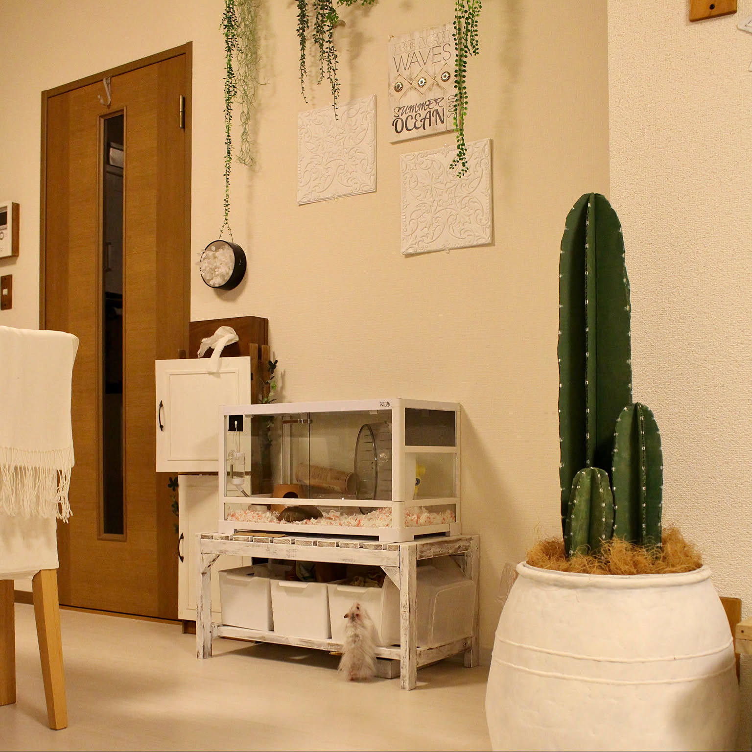 ハムスター ハムスターグッズのインテリア実例 ｜ RoomClip（ルーム