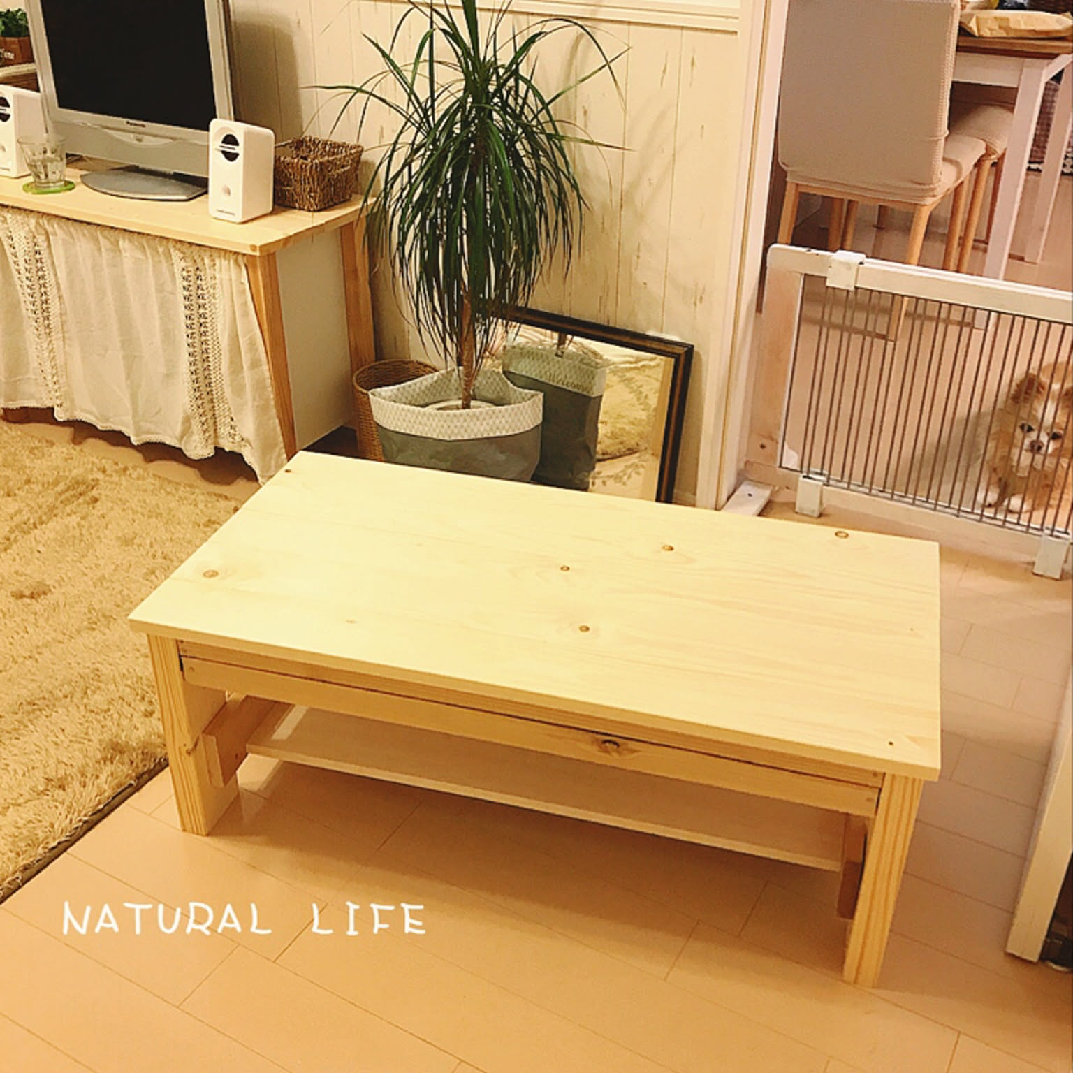 【建築工房が作る】ローテーブル DIY】ローテーブルの作り方（予算2000円で作る簡単テーブル） - YouTube