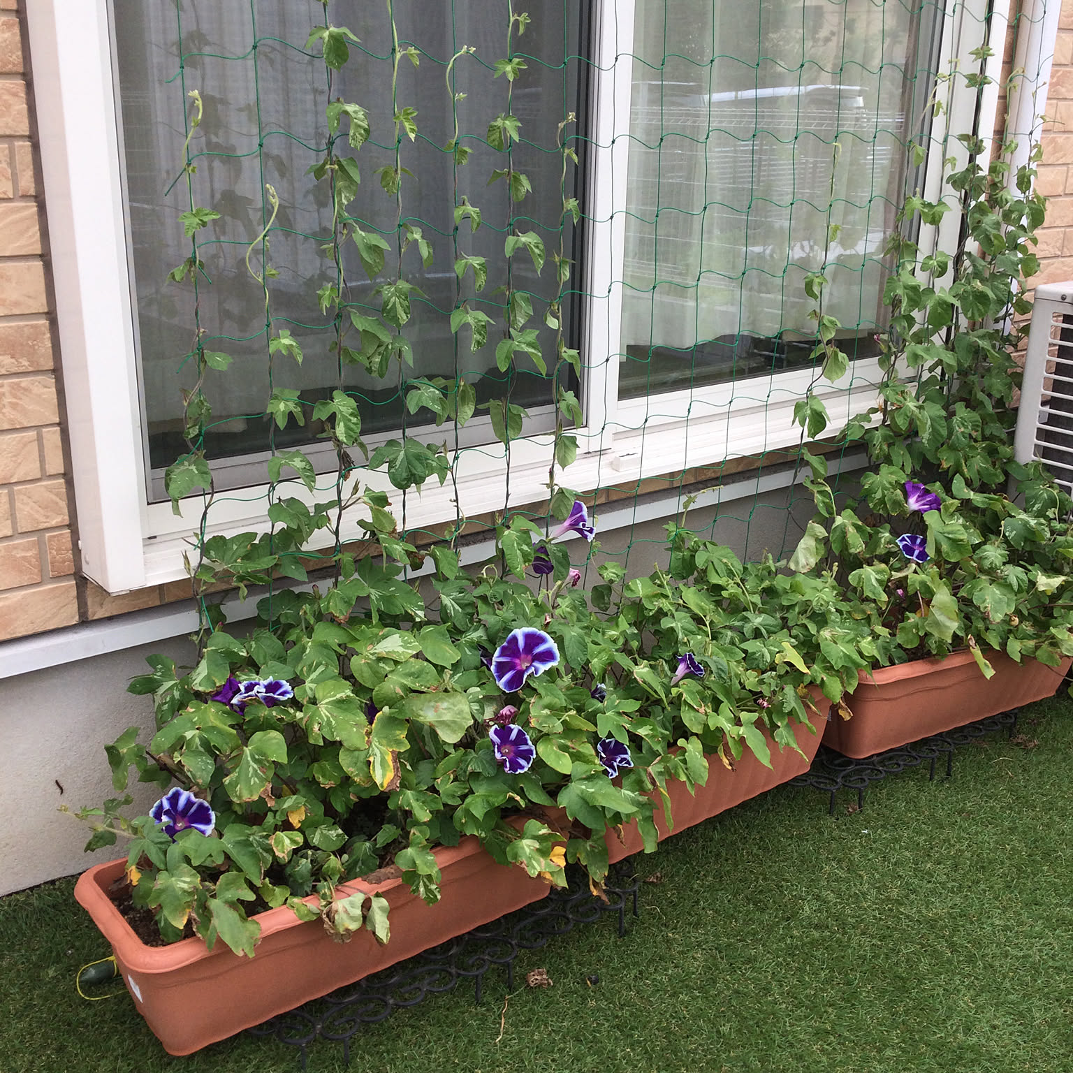 60cbe58d4de3fc7fac21a3a92c3280