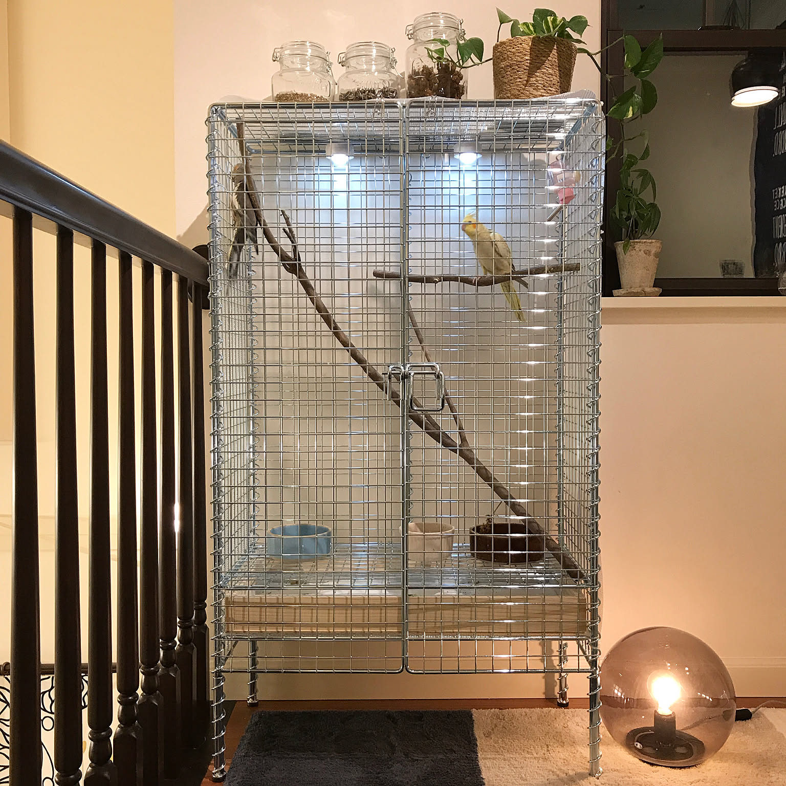 鳥小屋DIYのインテリア・手作りの実例 ｜ RoomClip（ルームクリップ）