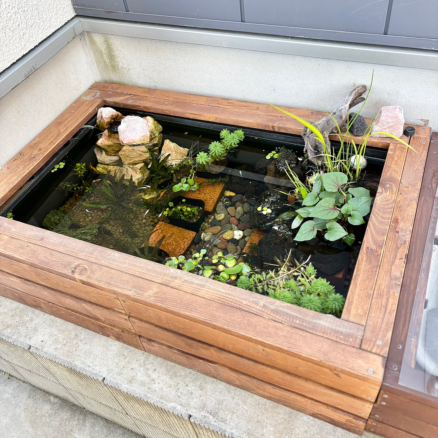 6289317949a6f74b3b3eb21eb0098e