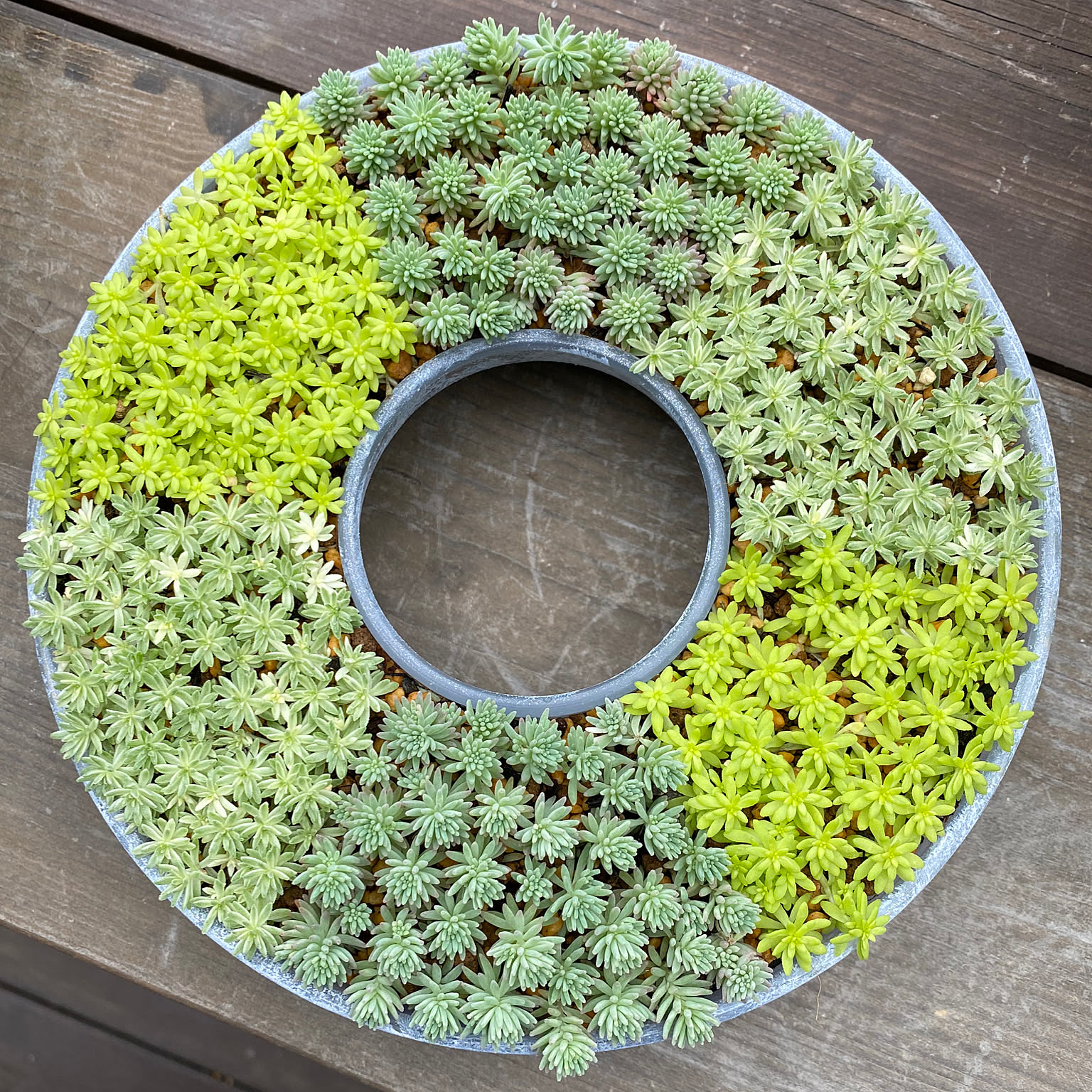 62d82e47e4a75e6738b51cb074c4d4