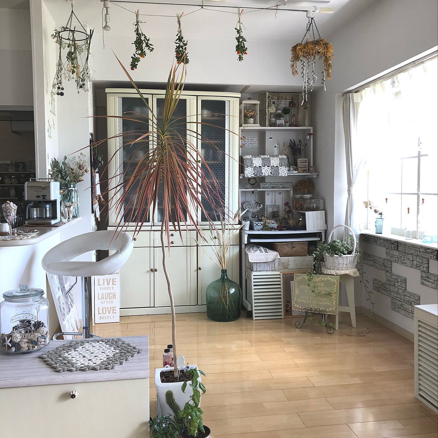 ドラセナコンシンネレインボーのインテリア実例 ｜ RoomClip（ルーム