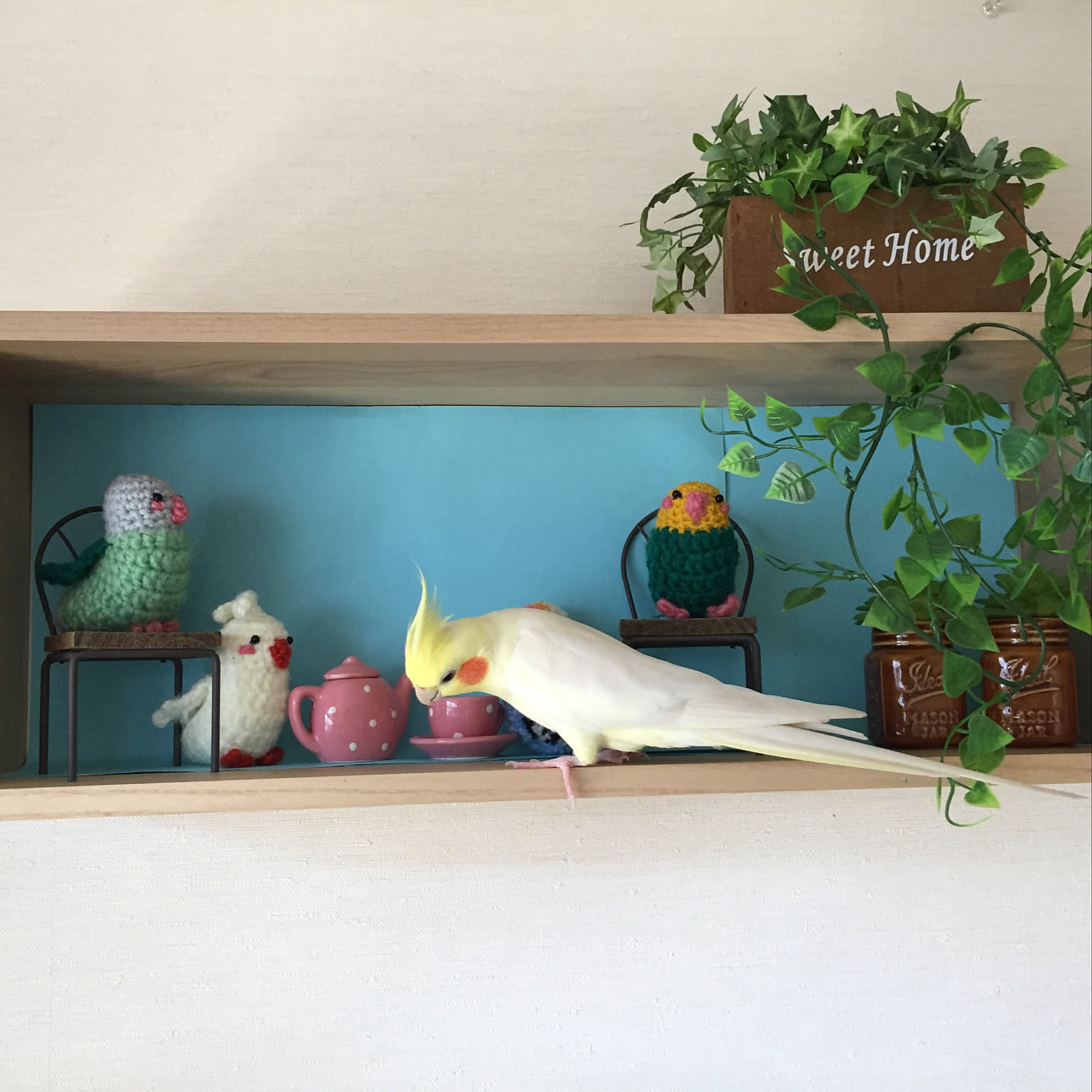 セキセイインコ 編みぐるみのおすすめ商品とおしゃれな実例