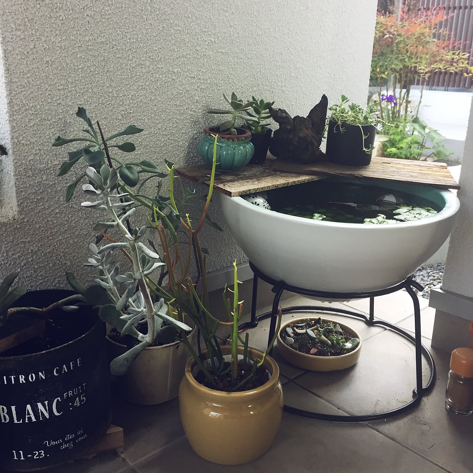 632c653330b79e5438a1ef24781bab