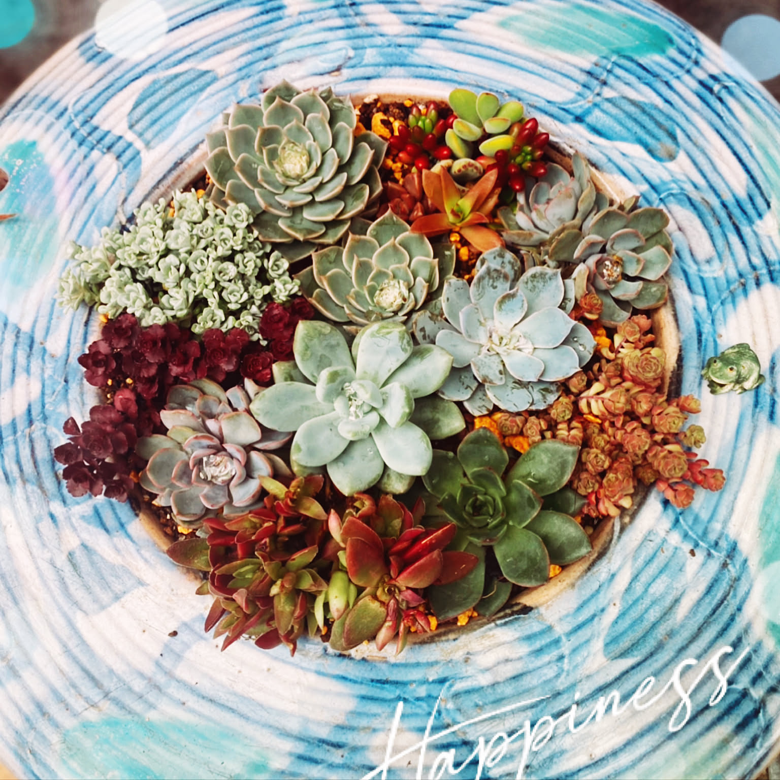 63a0361ac2d7e9207f3541b945347f