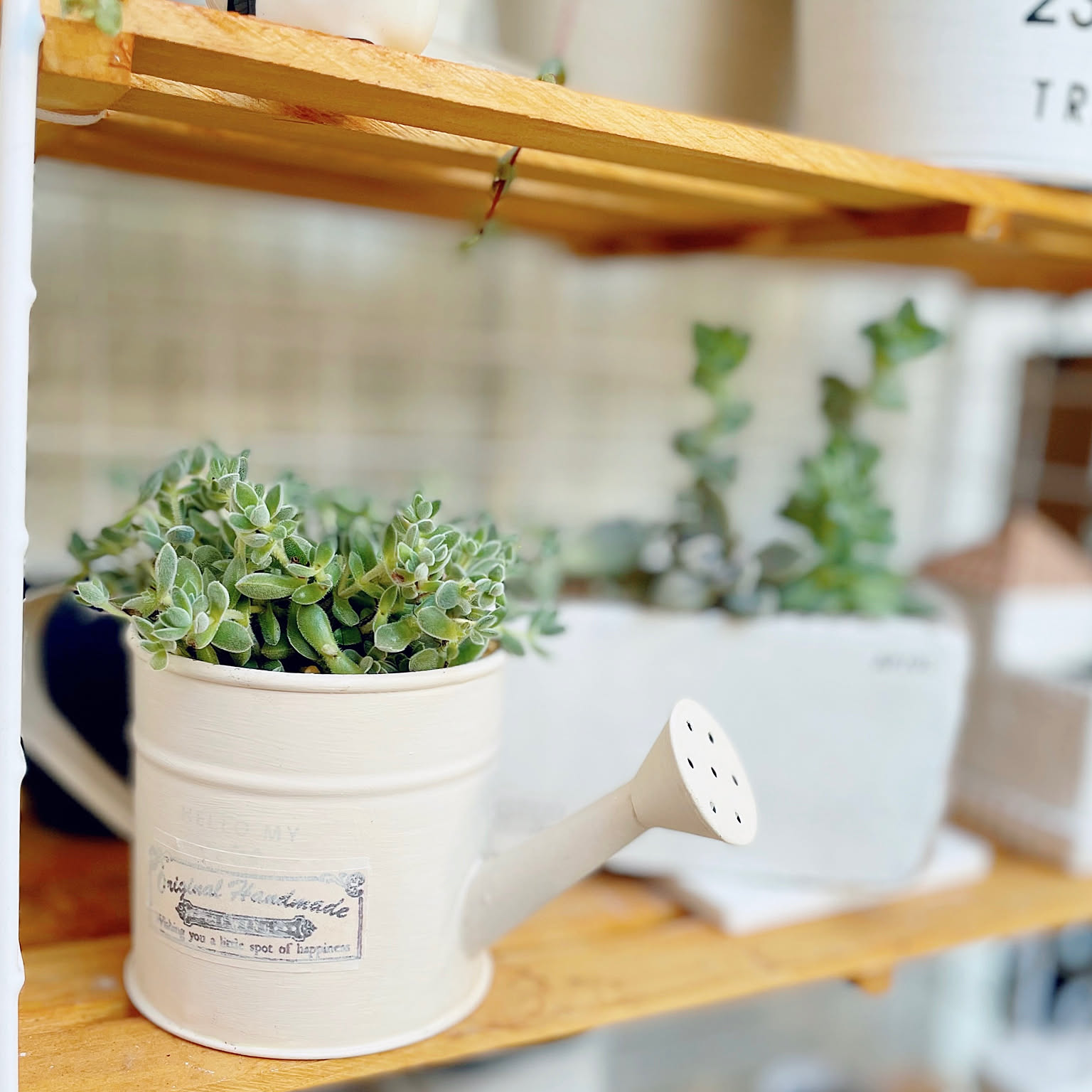 ジャンクジョウロリメ缶　大サイズ リメイク缶 ジャンクジョウロ缶 大 ジャンクジョウロリメ缶 大サイズ