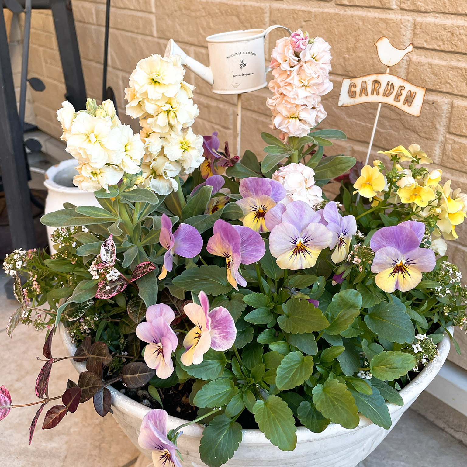 部屋全体/冬の寄せ植え/寄せ植え/花のある暮らし/花好きのインテリア