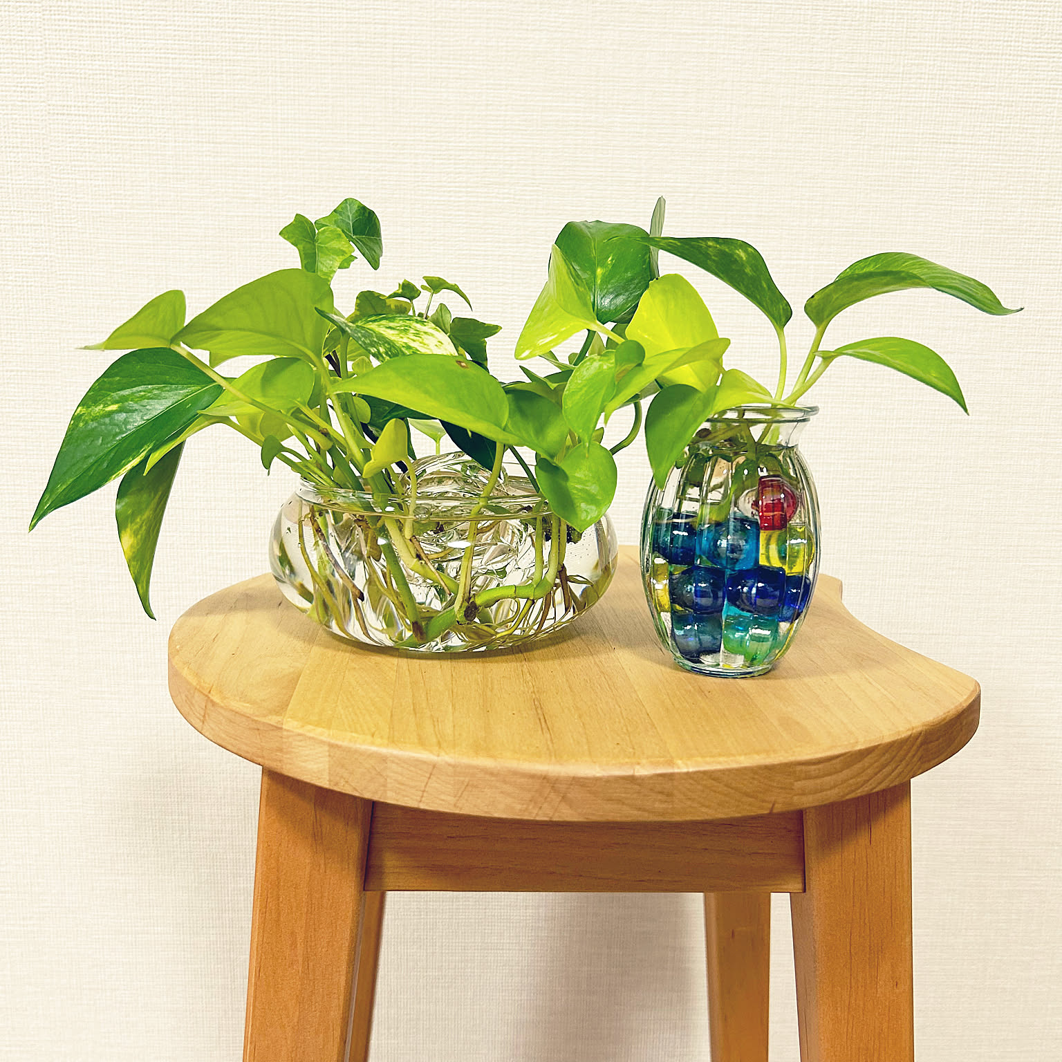 特売！超人気☆ 新品 アイデアがかかる 水栽培 インテリア飾り 花瓶 ミニ花器 H58