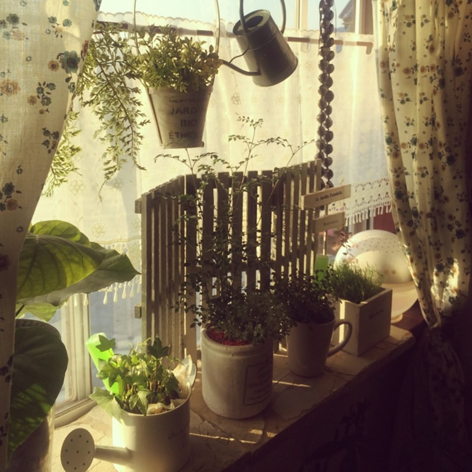 しまむらカフェカーテンのインテリア実例 ｜ RoomClip（ルームクリップ）