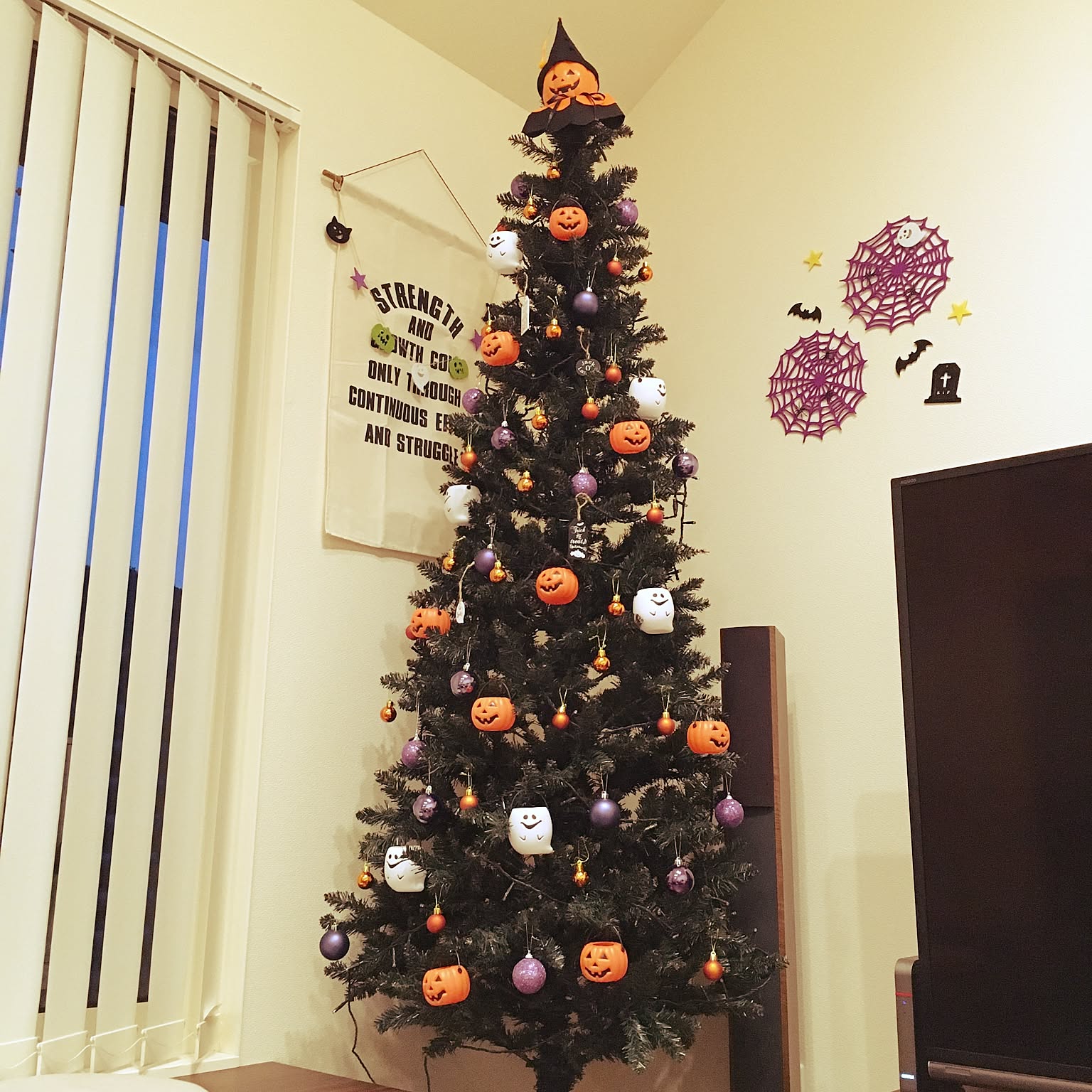 65fbaad0172feff6f9e31f9cbe2b85