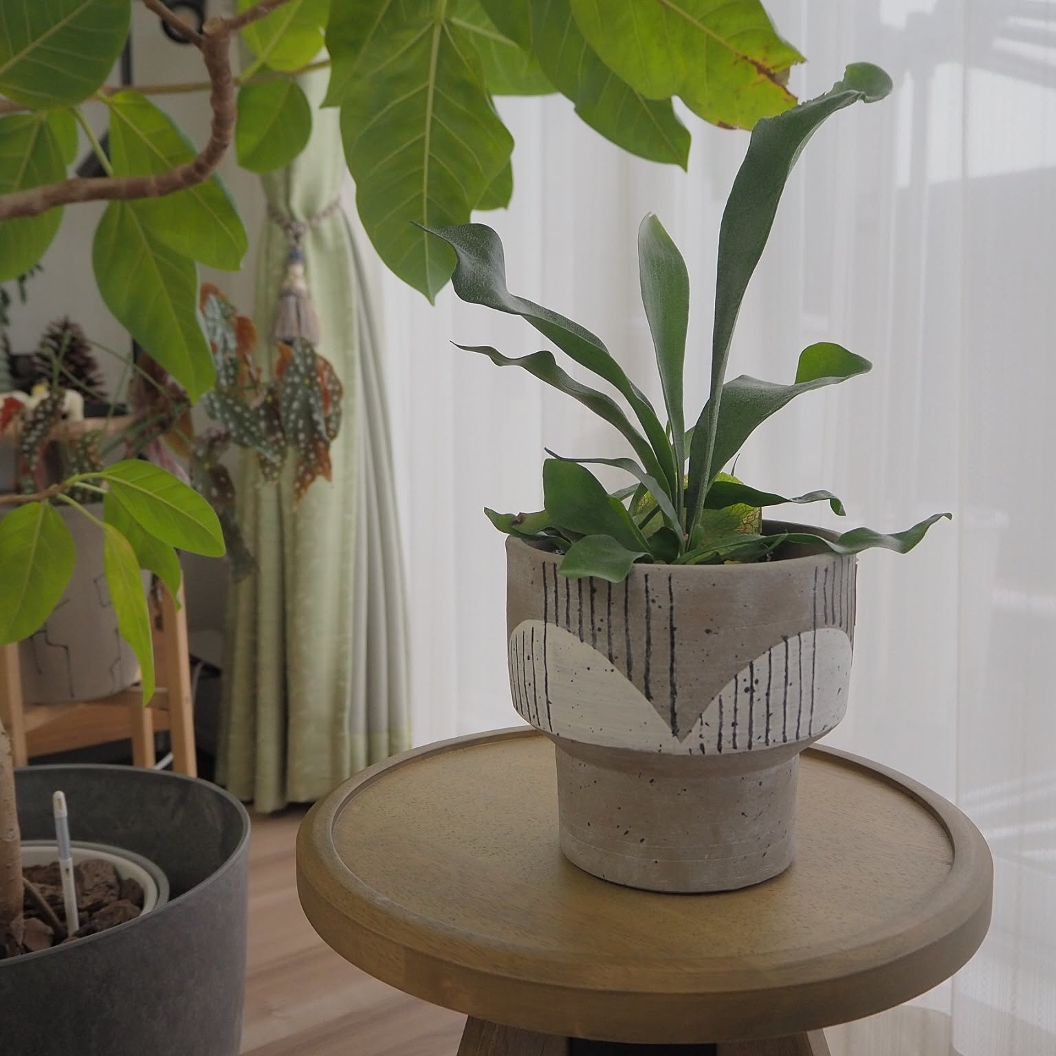 ACTUS TJS DOM IMBH20 植木鉢 &crafts フラワー・ガーデニング ACTUS TJS DOM IMBH20 植木鉢