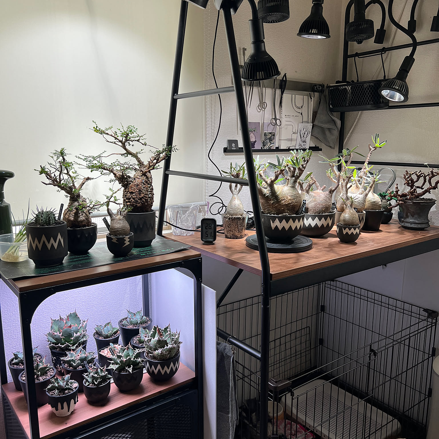 IKEA 植物育成ライトのおすすめ商品とおしゃれな実例