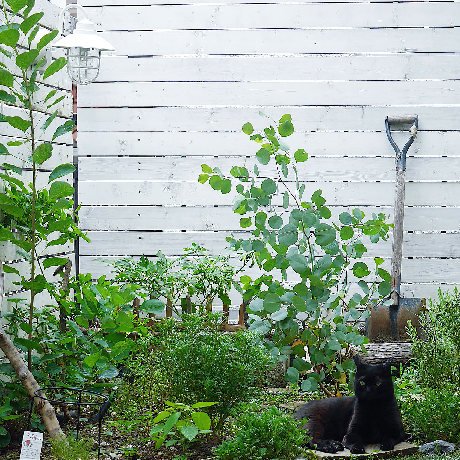 6a202967dfd72af7d568cb81100157