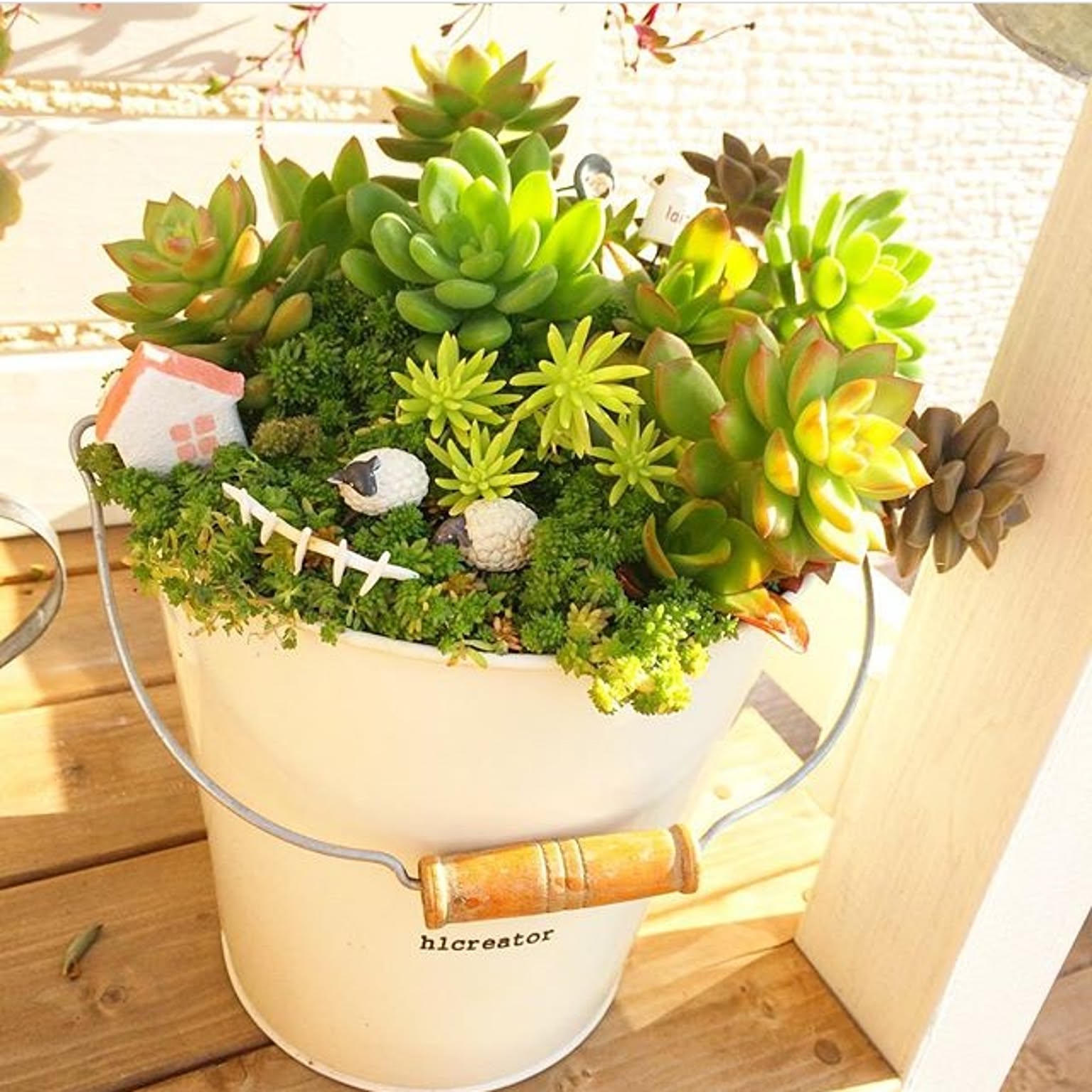 ガーデン雑貨/多肉植物/寄せ植え/セダム/虹の玉などのインテリア
