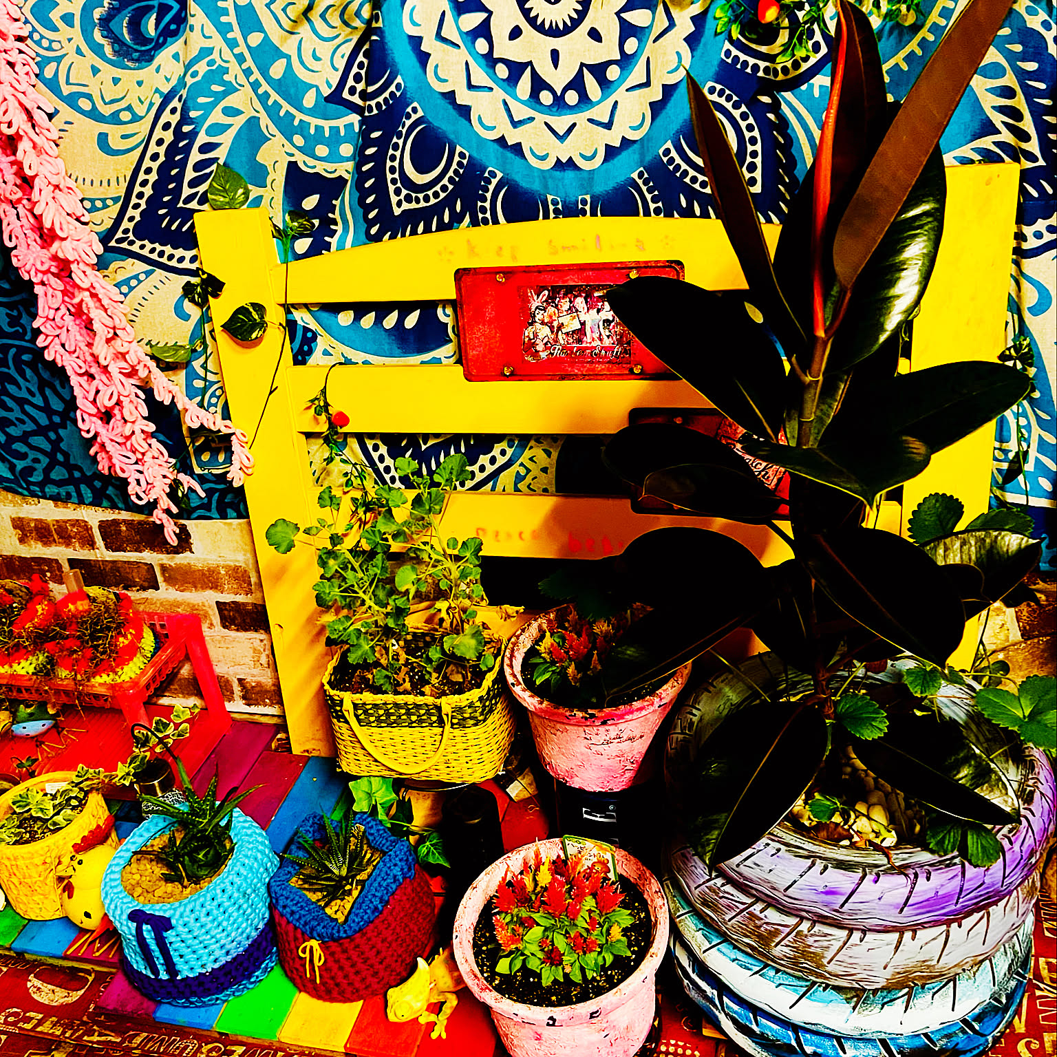 カラフルな鉢のおすすめ商品とおしゃれな実例 ｜ RoomClip（ルーム