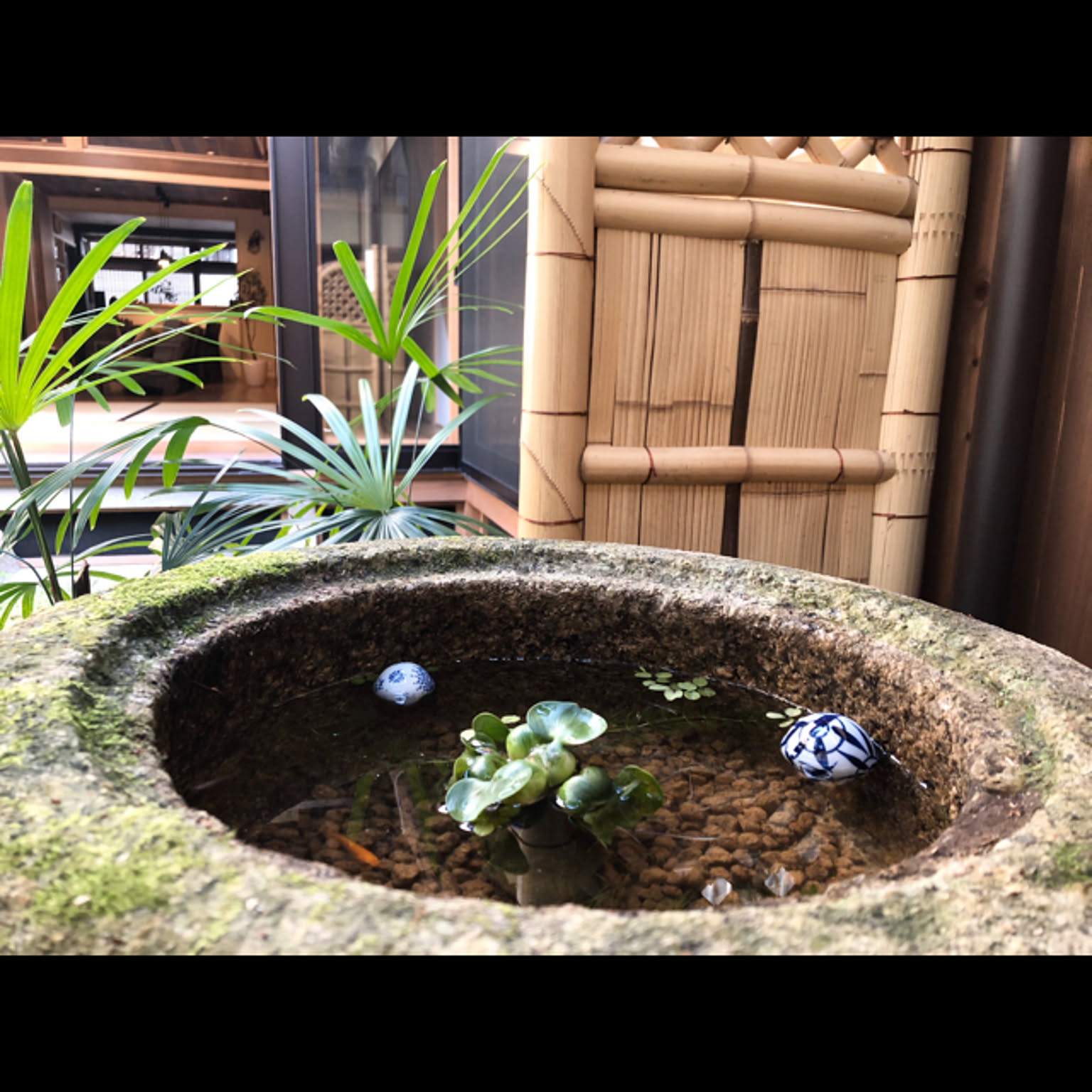 水鉢 水盤 金魚鉢 接し