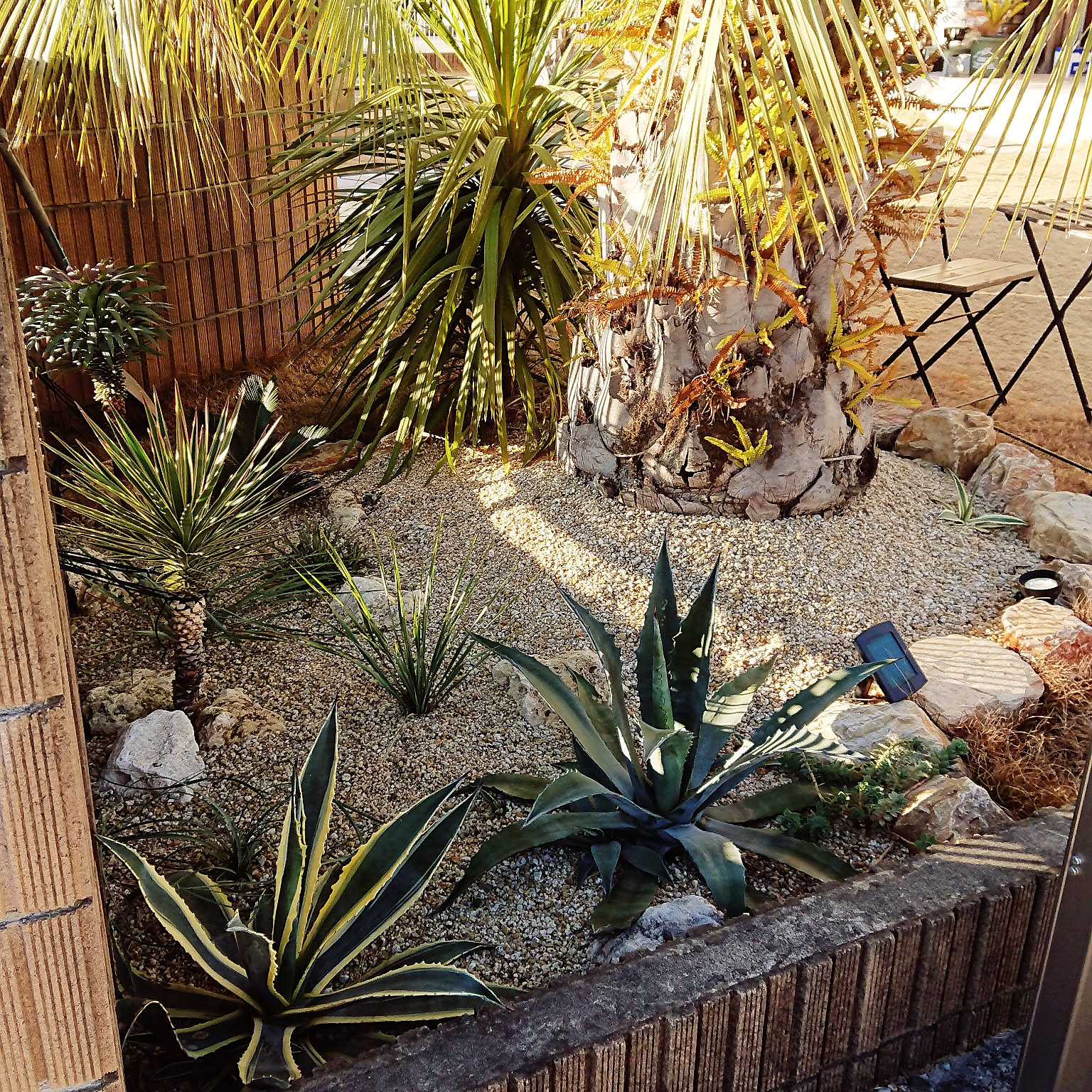 ココスヤシ ユッカロストラータのインテリア実例 ｜ RoomClip（ルーム