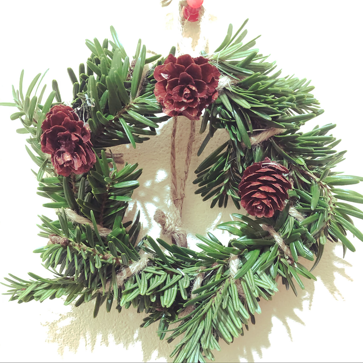 コニファーグリーンと木ノ実のクリスマスリース✴︎冬リース コニファーグリーンと木ノ実のクリスマスリース✴︎冬リース 【公式通販】