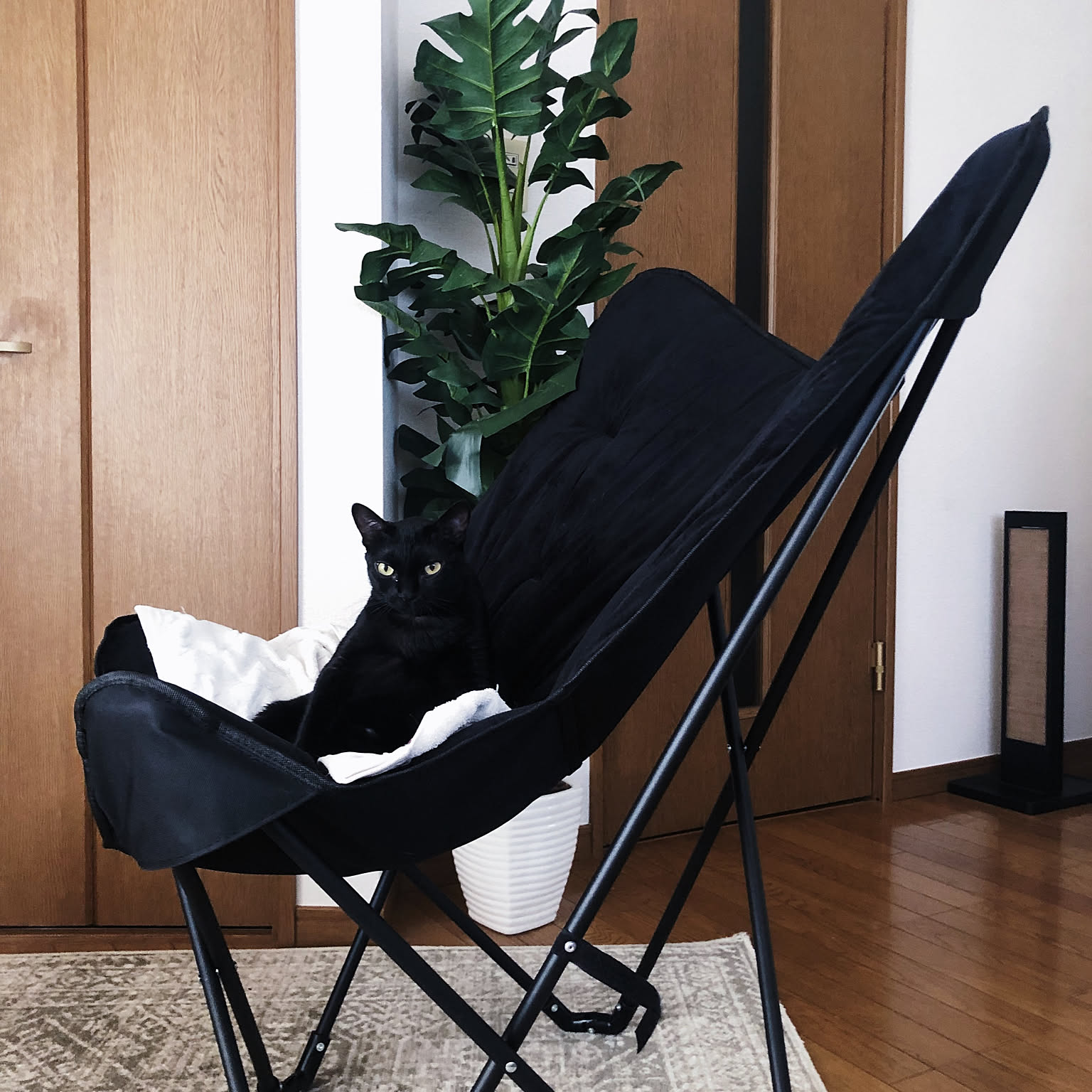 ムーンチェアのおすすめ商品とおしゃれな実例 ｜ RoomClip（ルーム