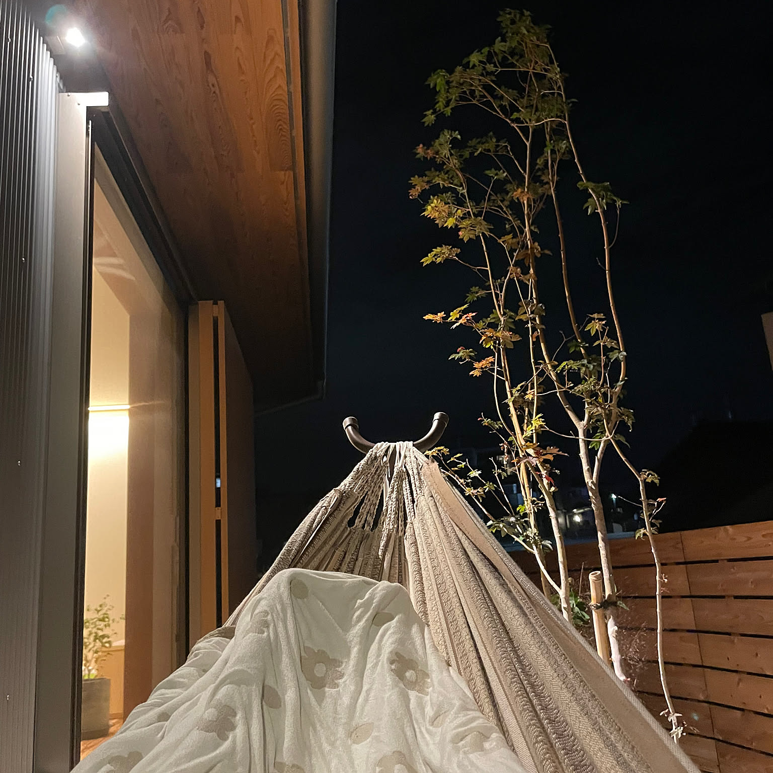 玄関やリビングに飾って下さいm(_ _)m玄関オブジェ 屋久杉 玄関や