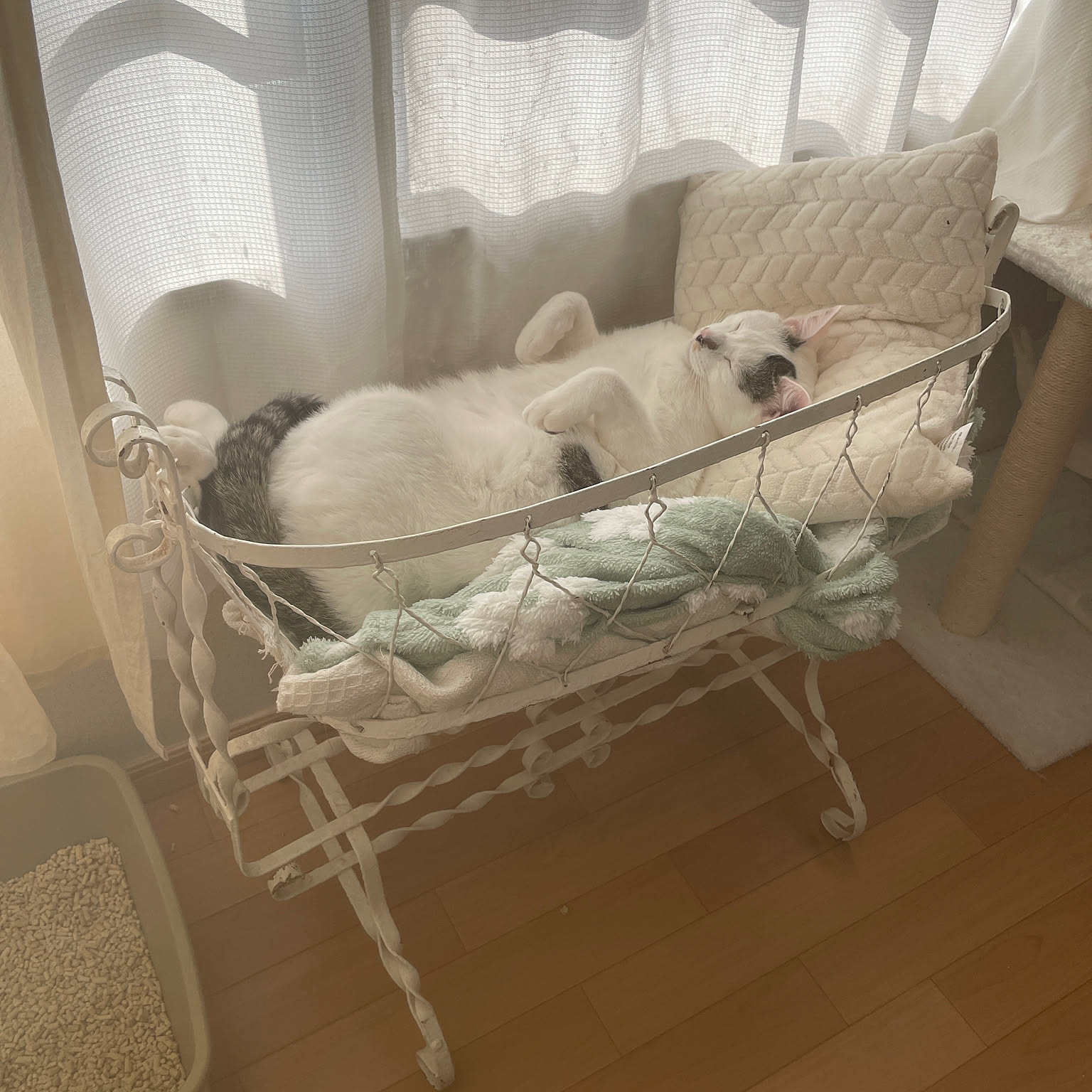 6bd714cc733d99c16f61abc1aea416