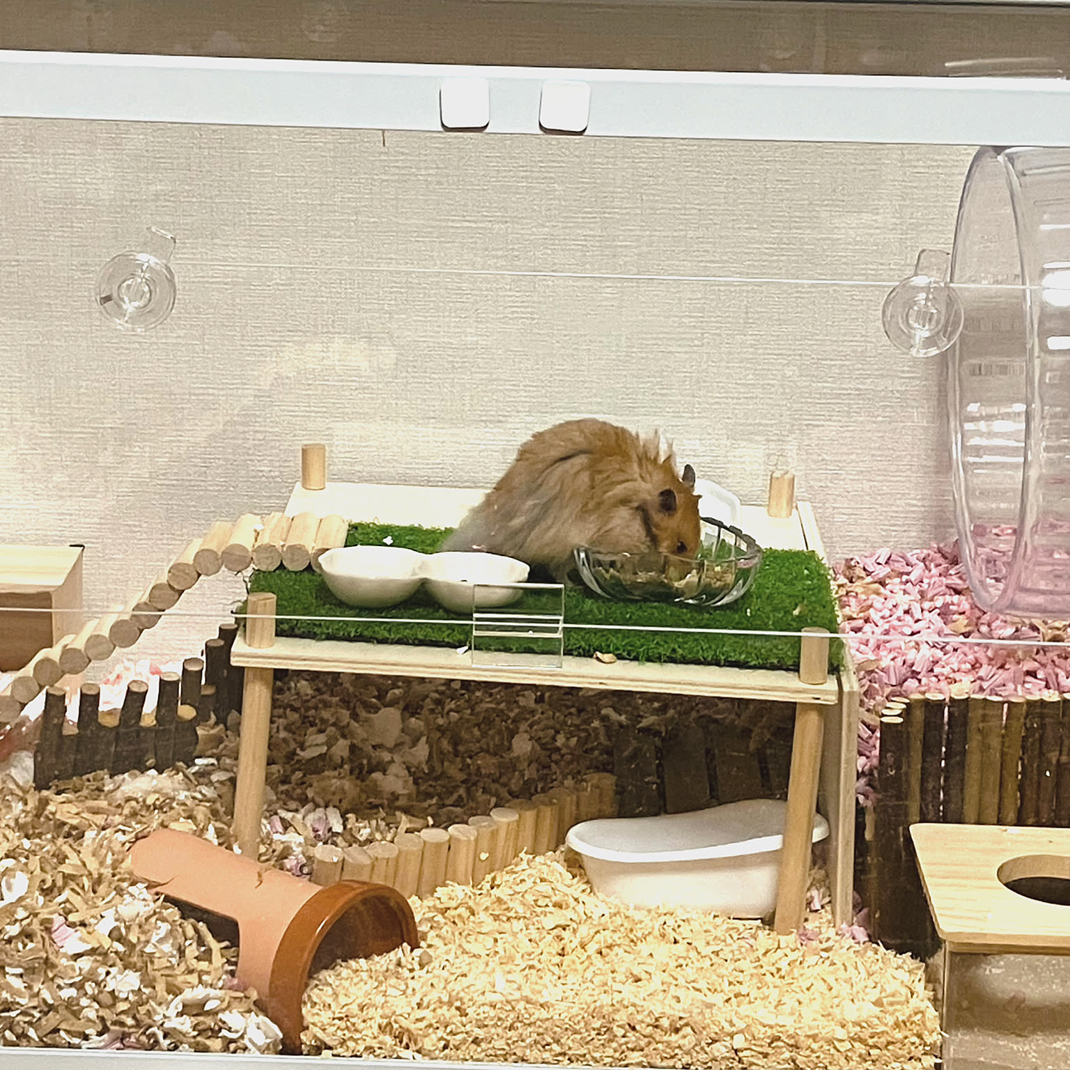 棚/DIY/ハムスターケージ/ハムスター/ハムスターのお家などの