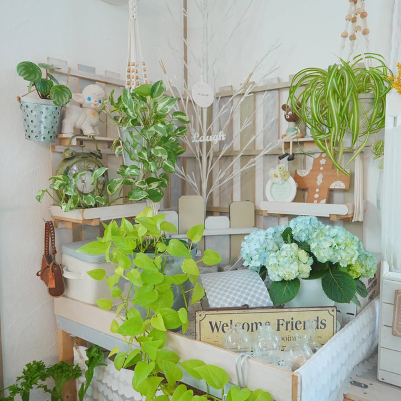 観葉植物 すのこ DIYのインテリア・手作りの実例 ｜ RoomClip（ルーム