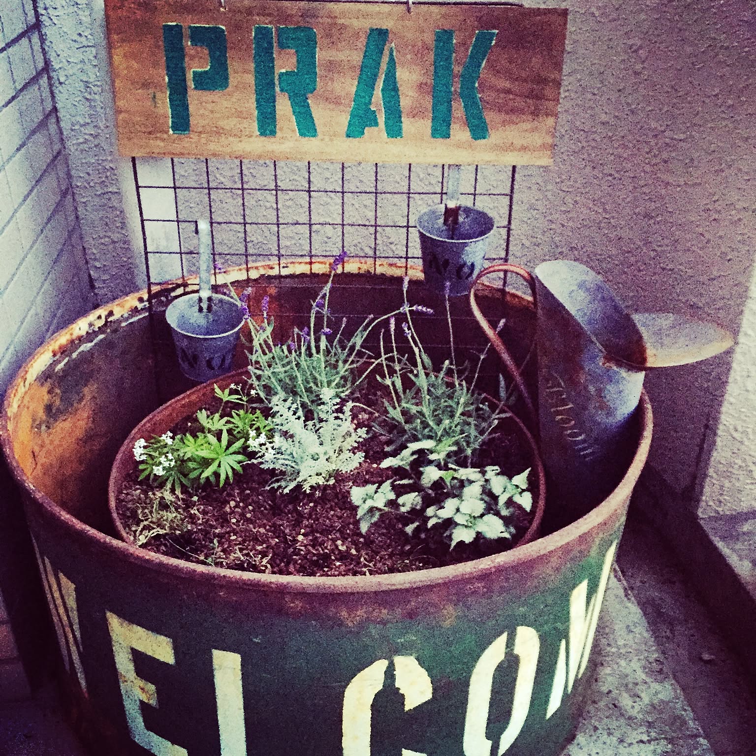 6ef494a3493ec818e1a9e44f3dc307