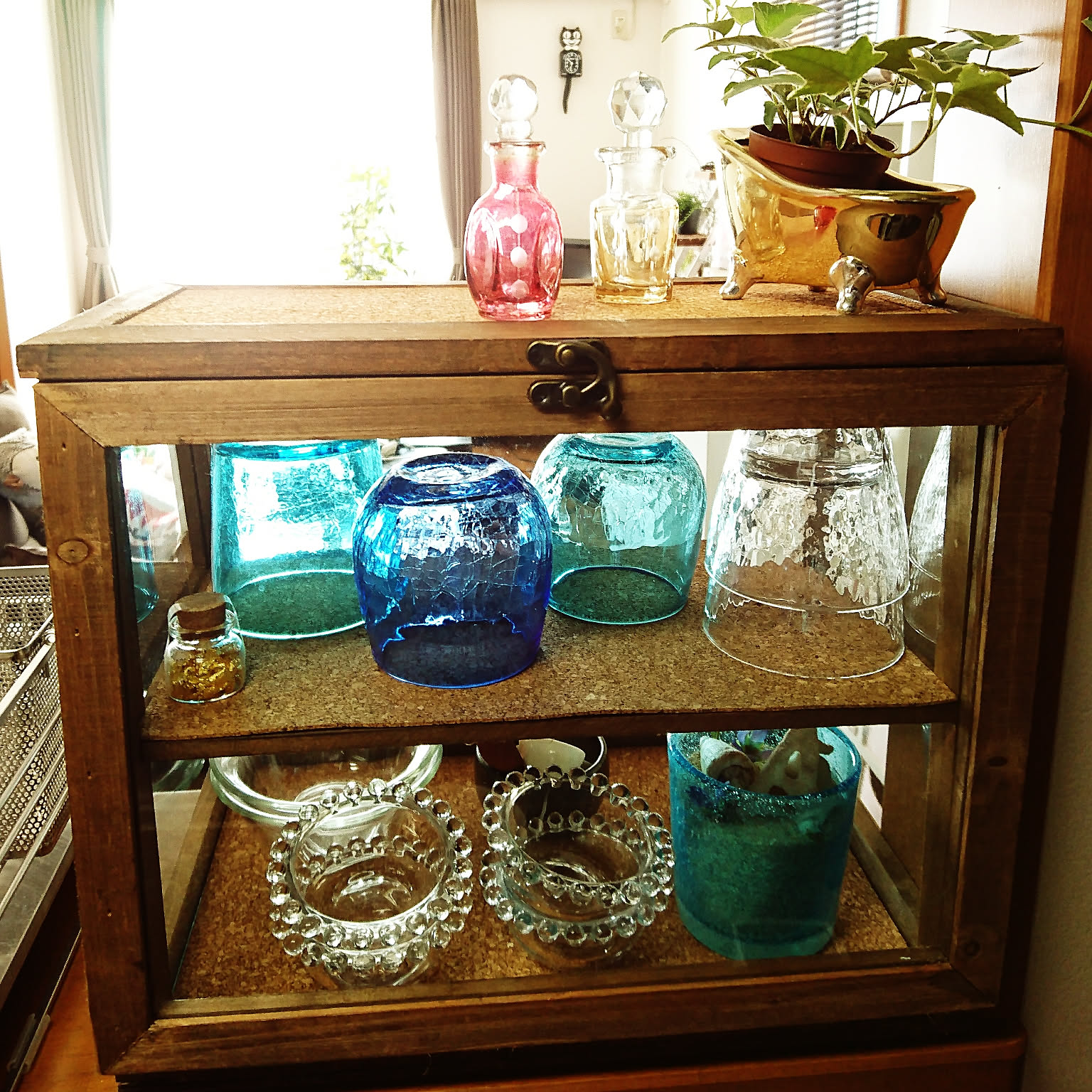 サリュ ガラスキャビネットのおすすめ商品とおしゃれな実例