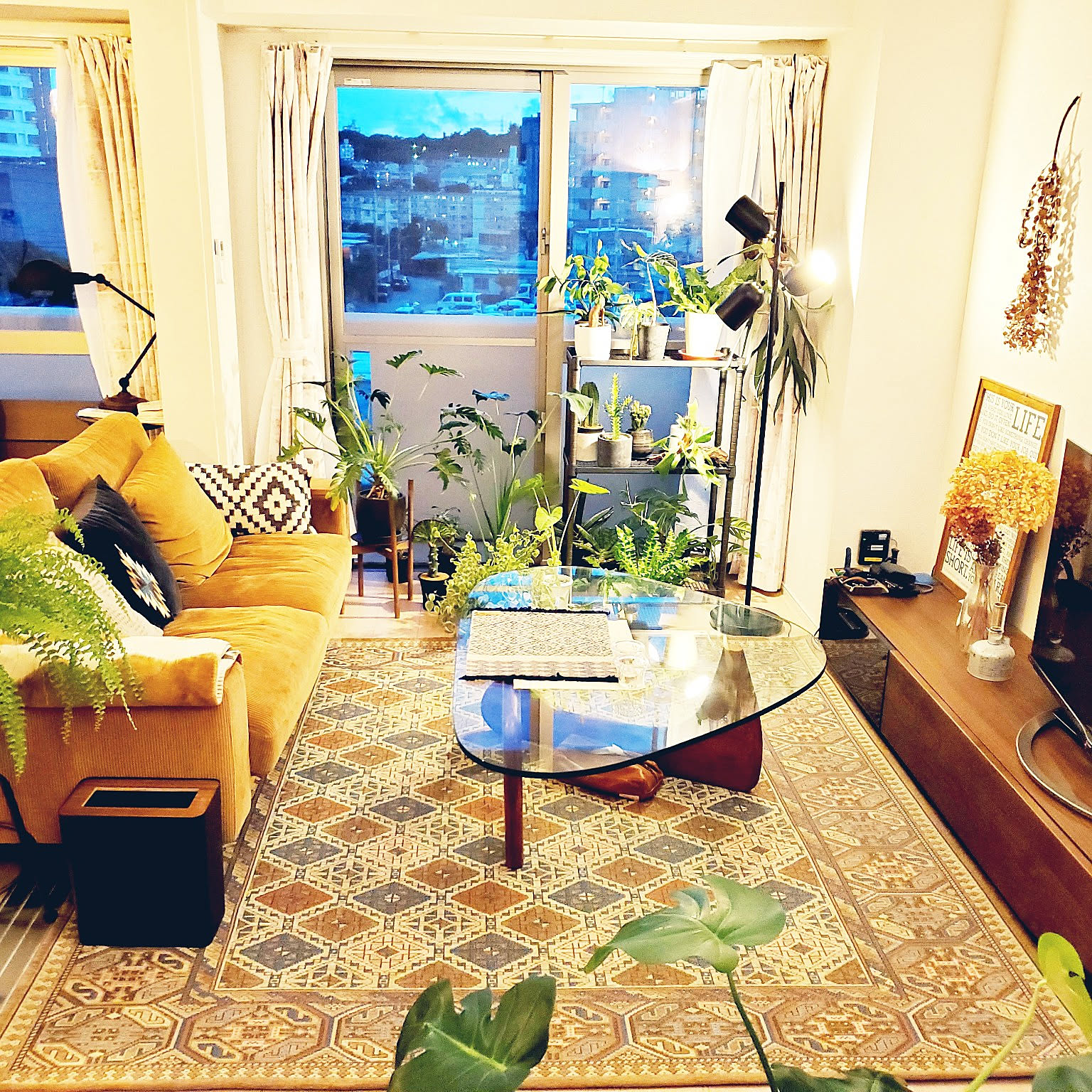 観葉植物 アクメファニチャーのおすすめ商品とおしゃれな実例