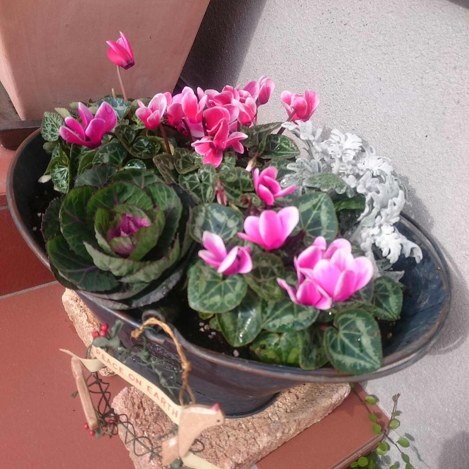 6f8492d497b4205e896594001fc27e