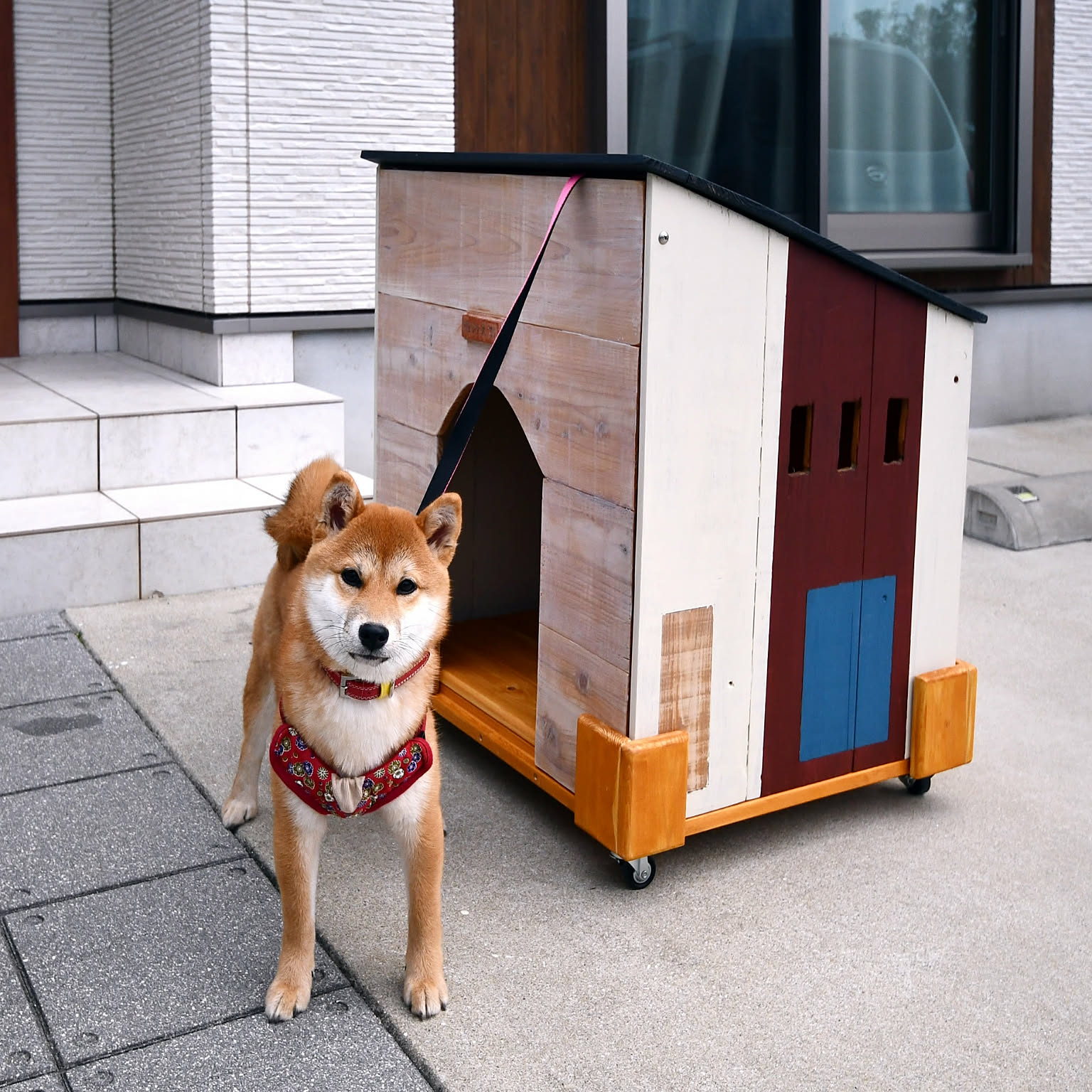 木製犬小屋 クレート☆白壁 グリーンの屋根 室内用 DIY バターミルク