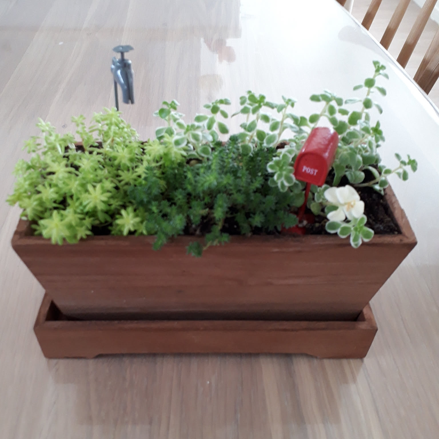 木箱の寄せ植えのおすすめ商品とおしゃれな実例 ｜ RoomClip