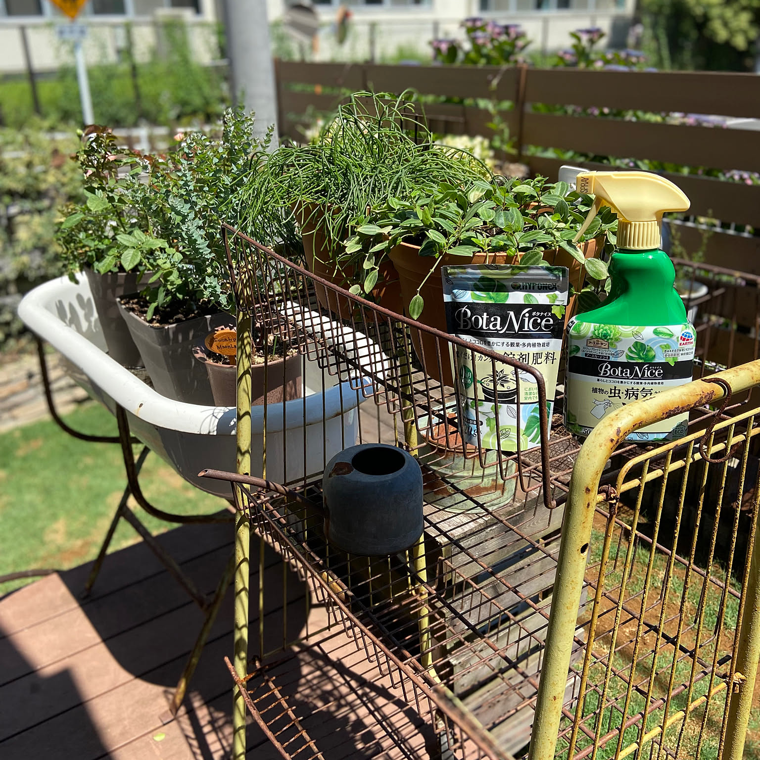 ベビーバスアンティークのインテリア実例 ｜ RoomClip（ルームクリップ）