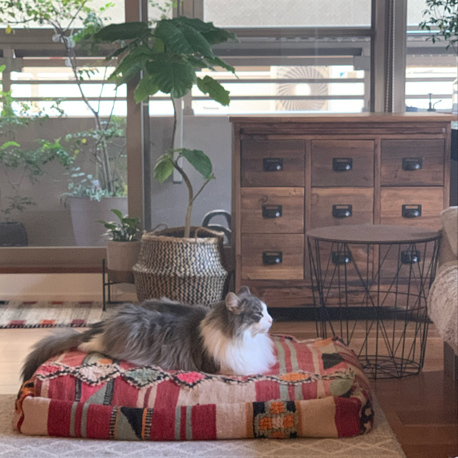 クラッシュゲートのチェストのおすすめ商品とおしゃれな実例