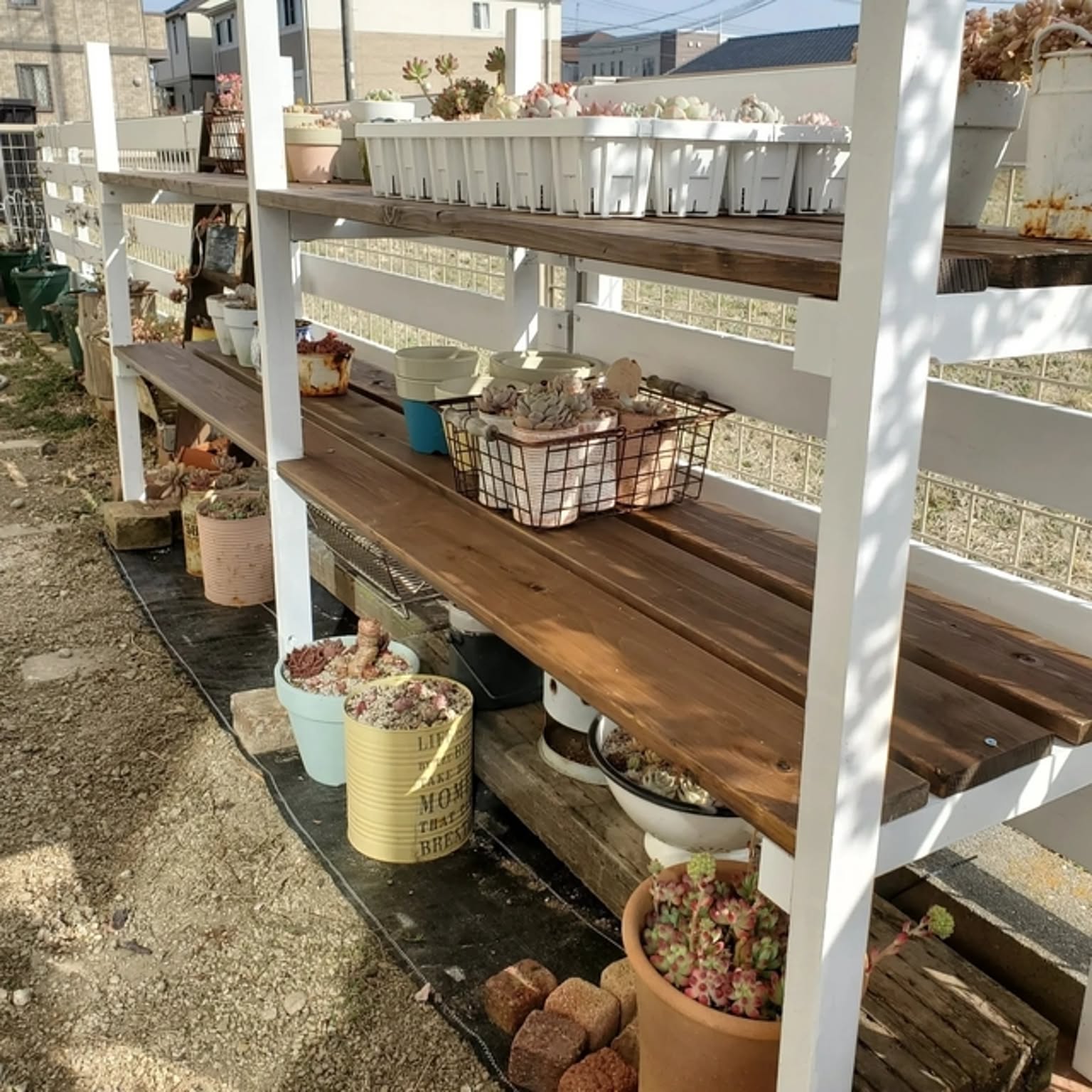 多肉植物 棚はDIYのインテリア・手作りの実例 ｜ RoomClip